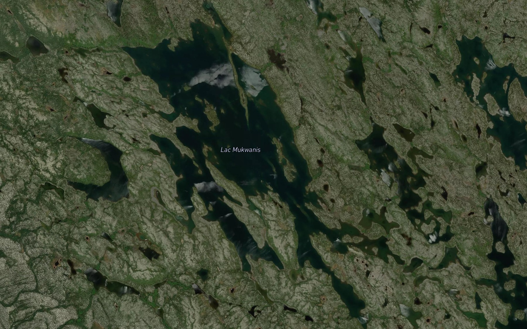 Satellite map of the Lac Mukwanis