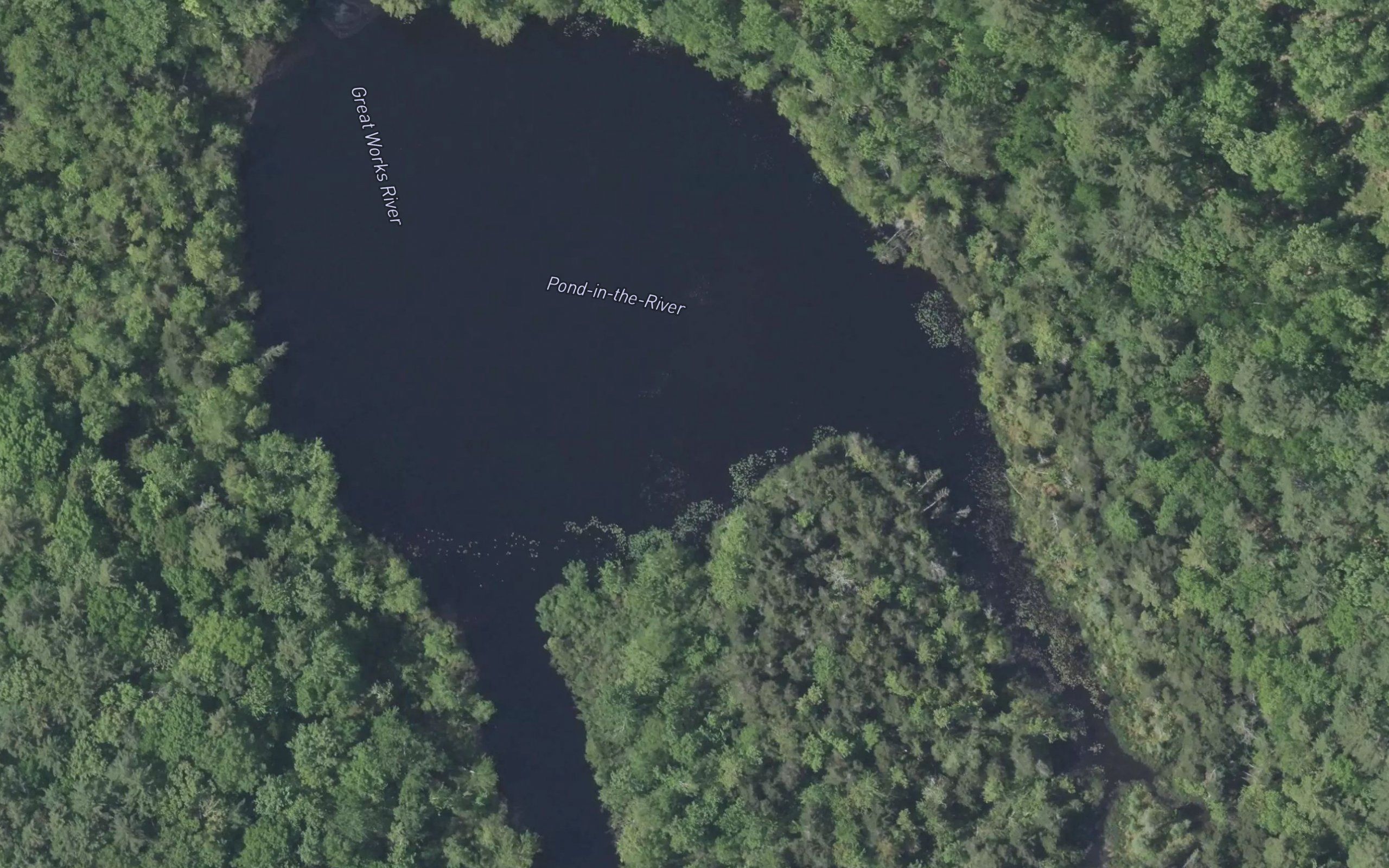 Pond-in-the-River
