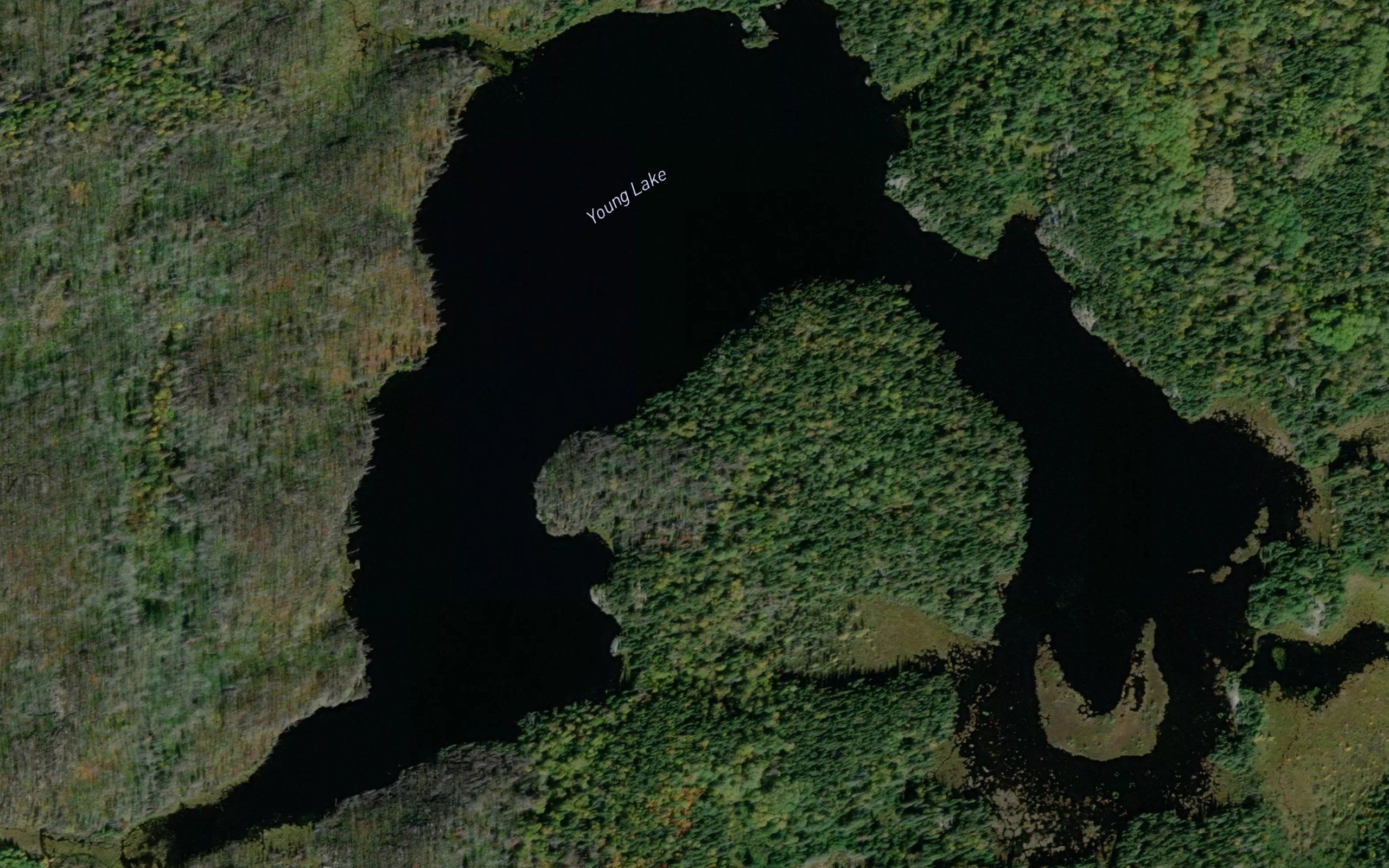 Young Lake