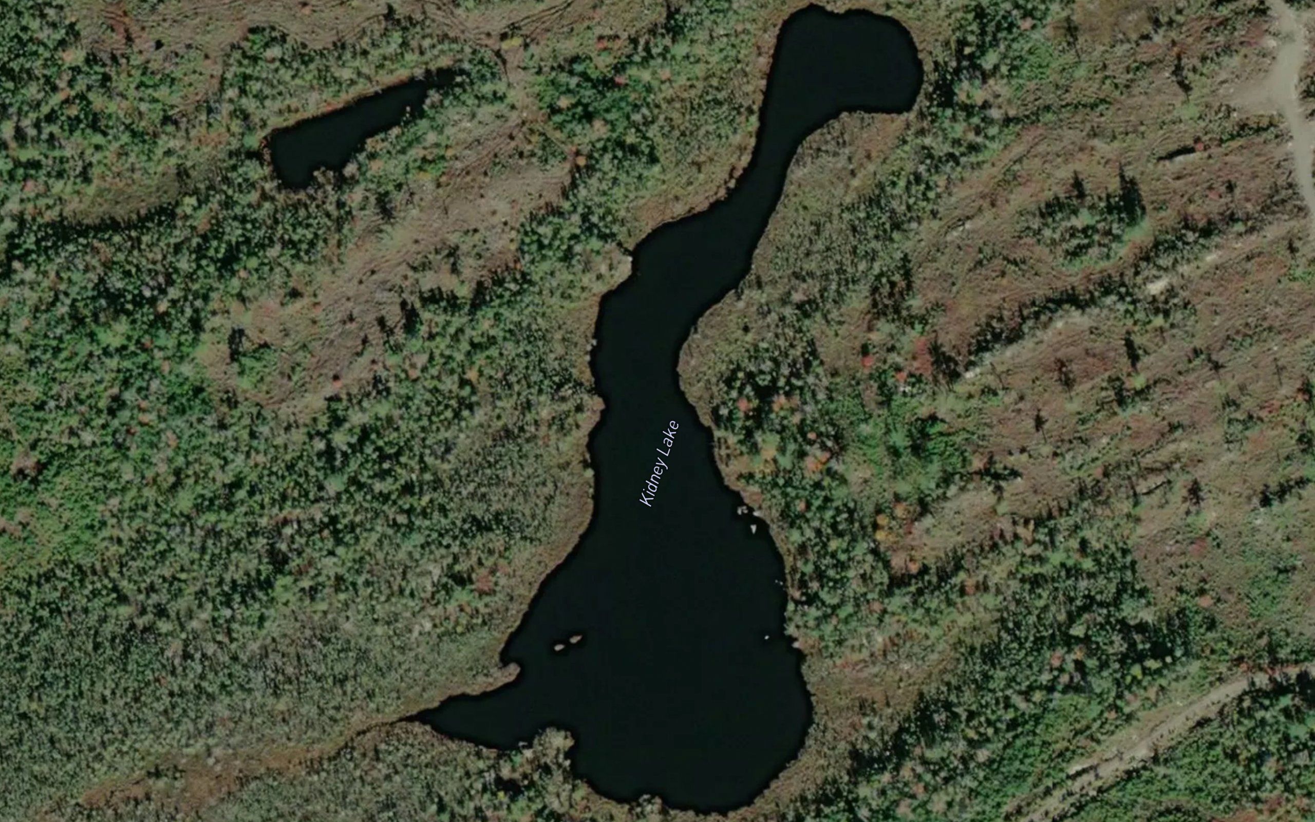 Kidney Lake