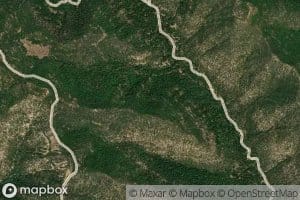 Birch Spring