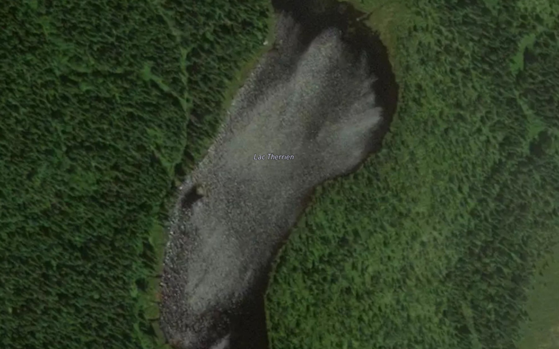 Satellite map of the Lac Therrien