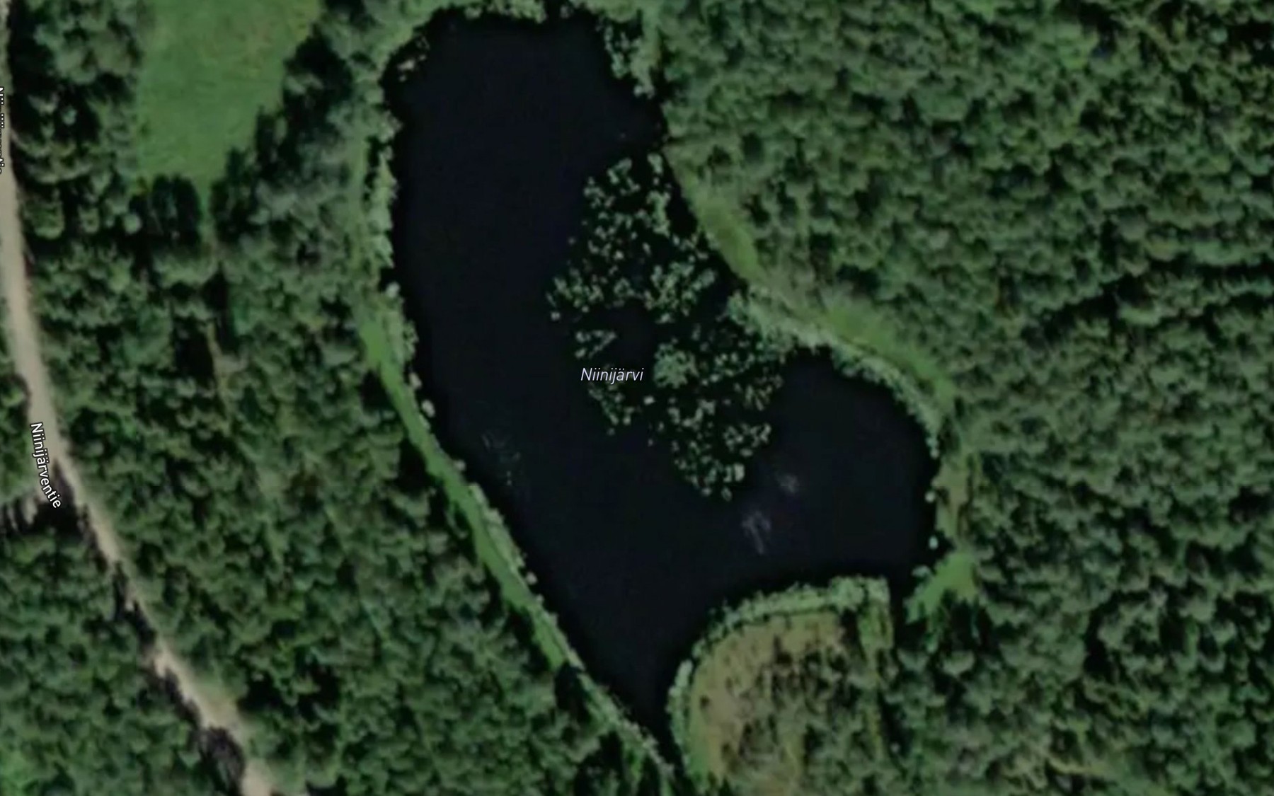Satellite map of the Niinijarvi