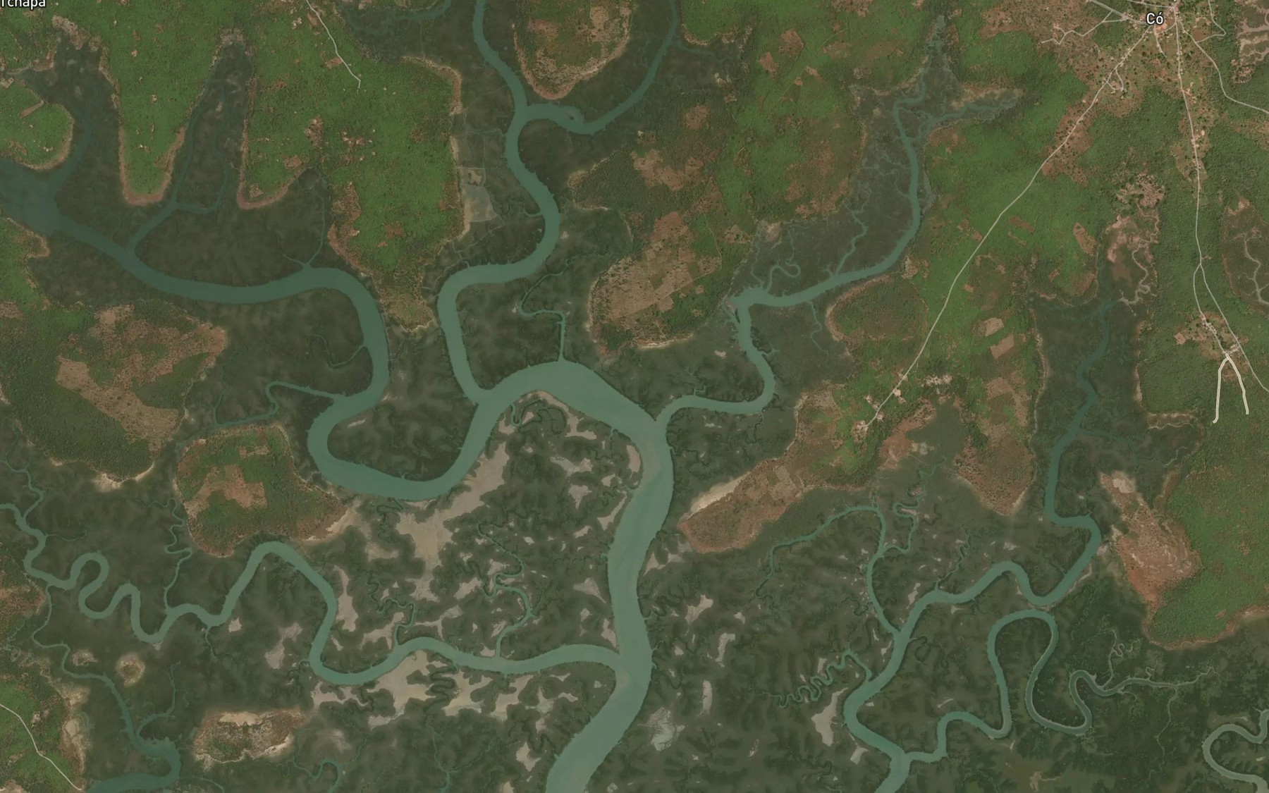 Satellite map of the Rio Pandique
