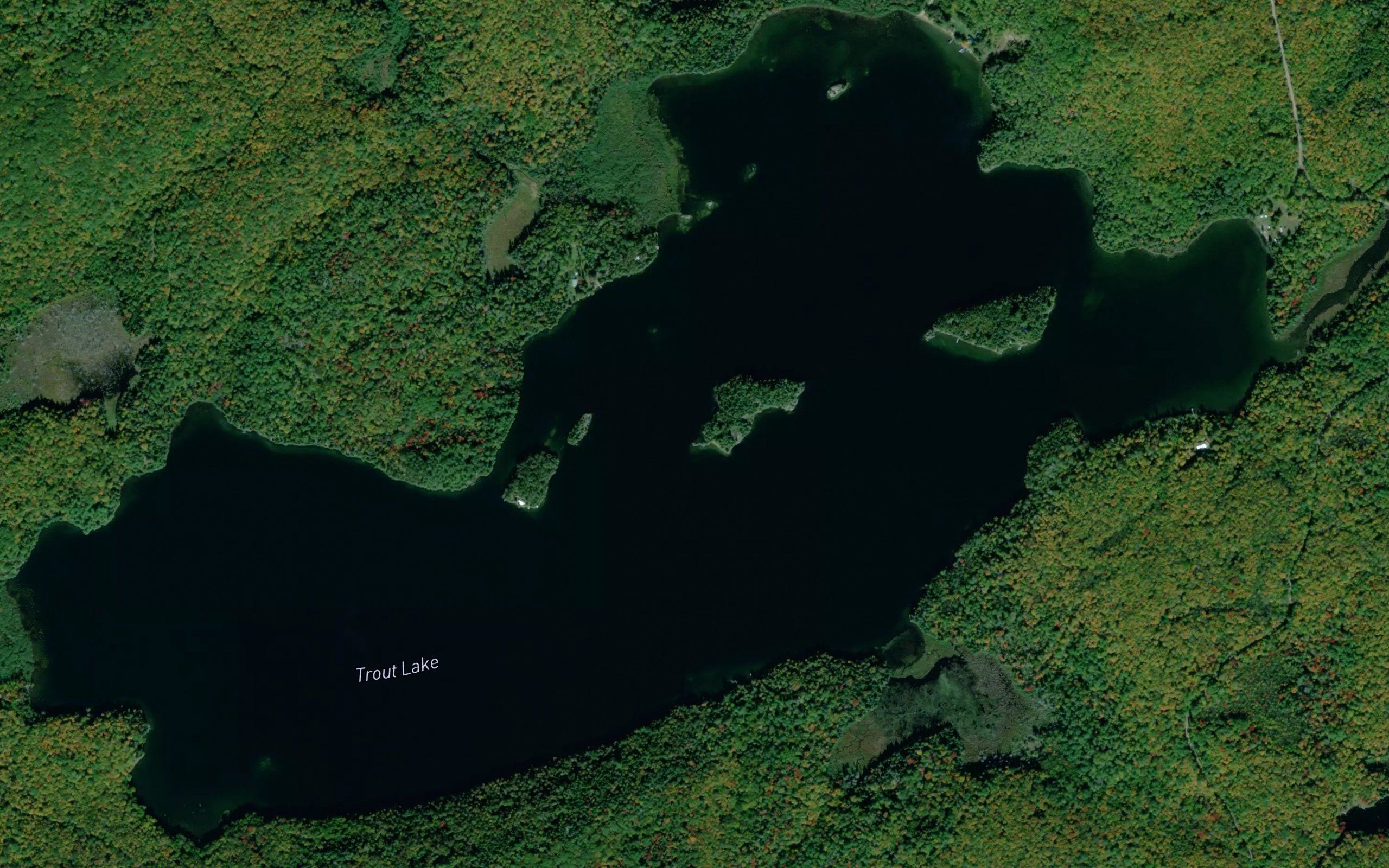 Trout Lake