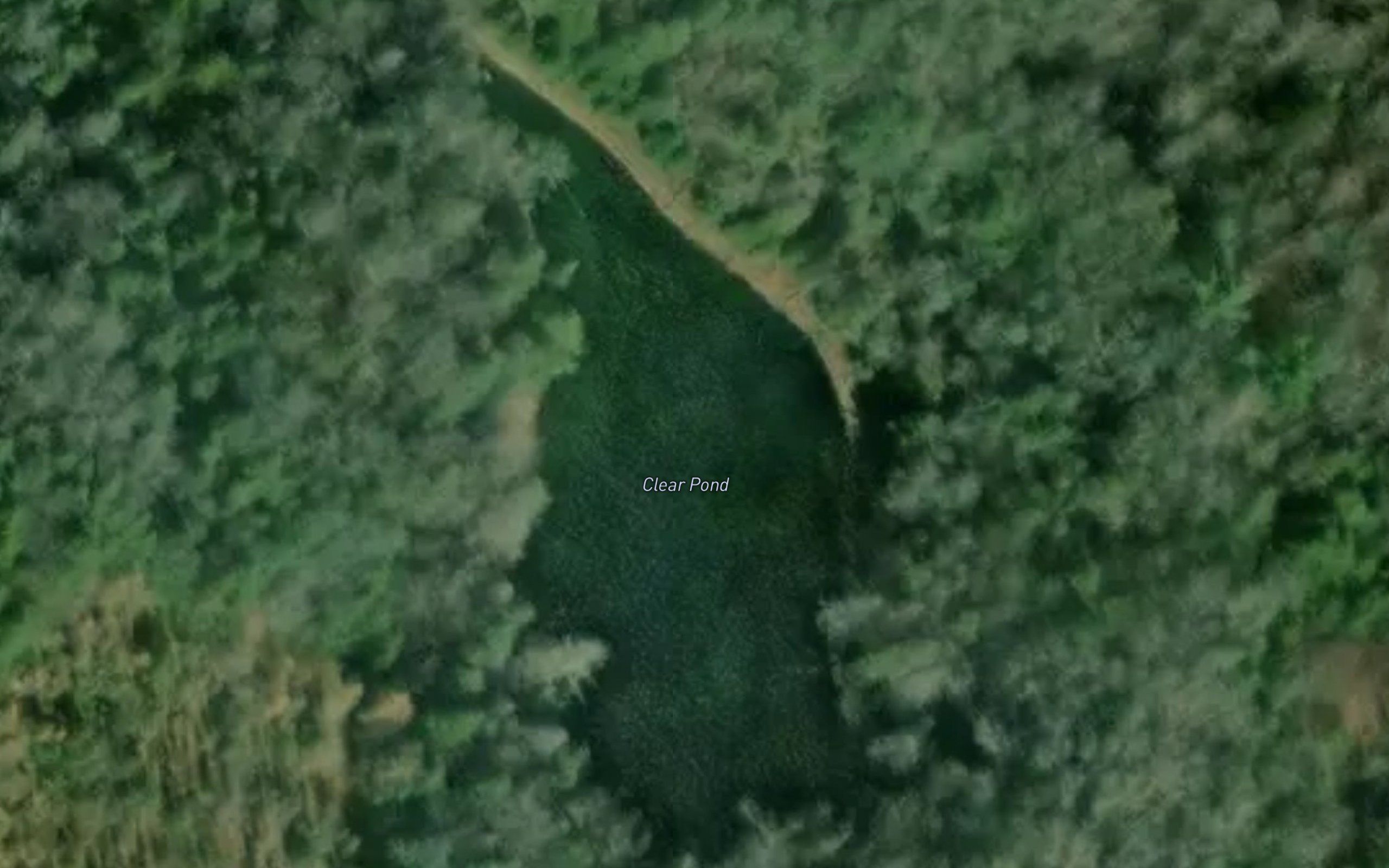 Clear Pond