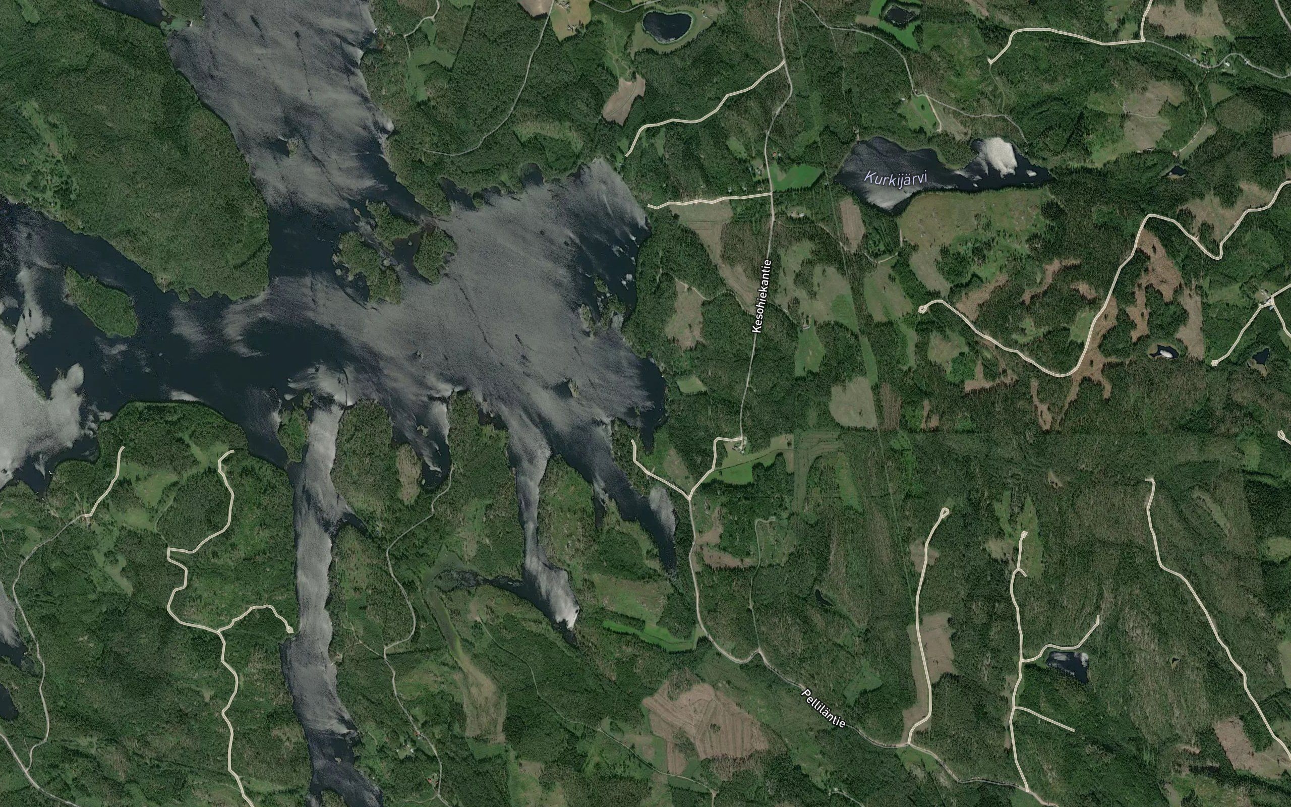 Matalalahti