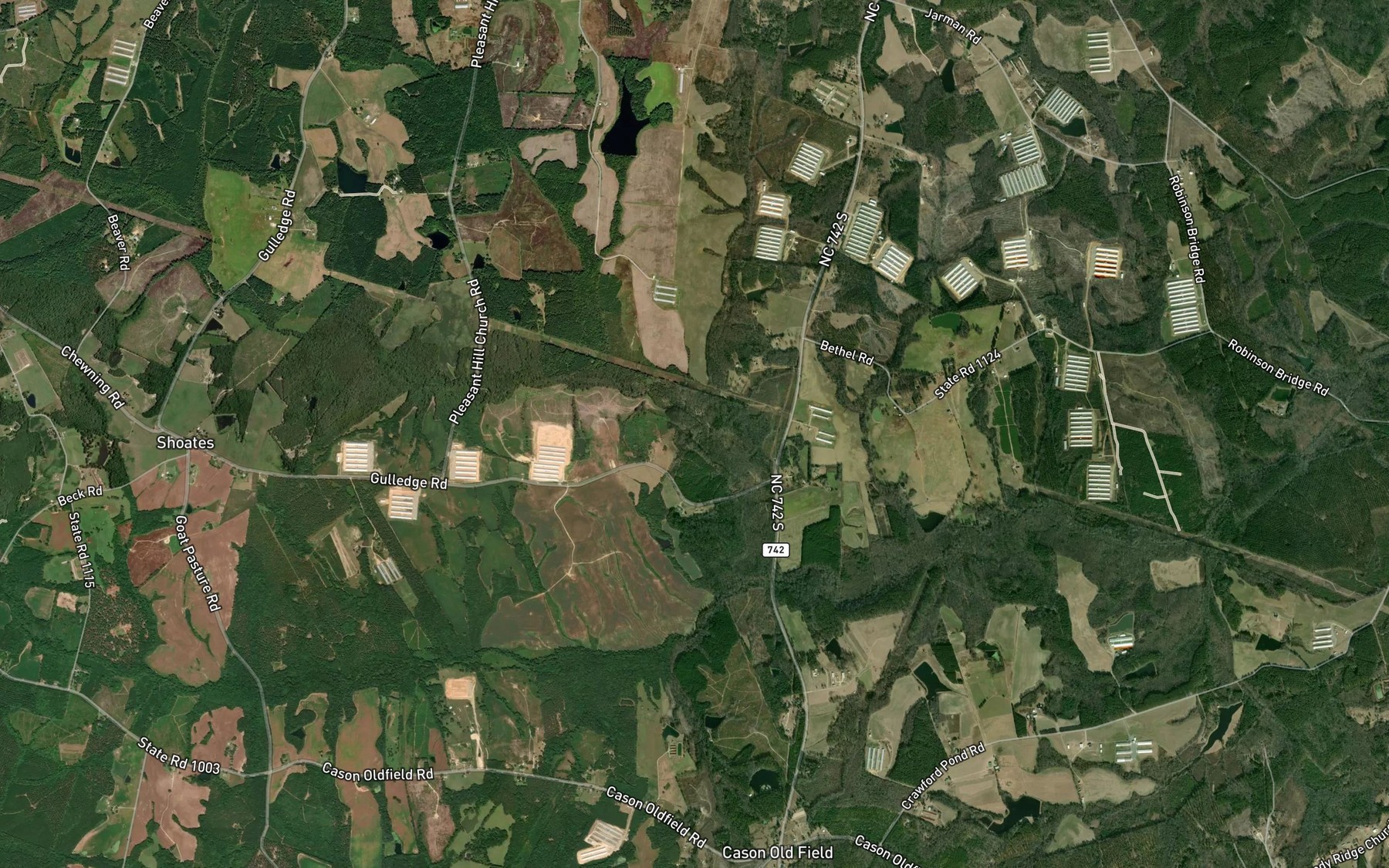Satellite map of the Gum Branch
