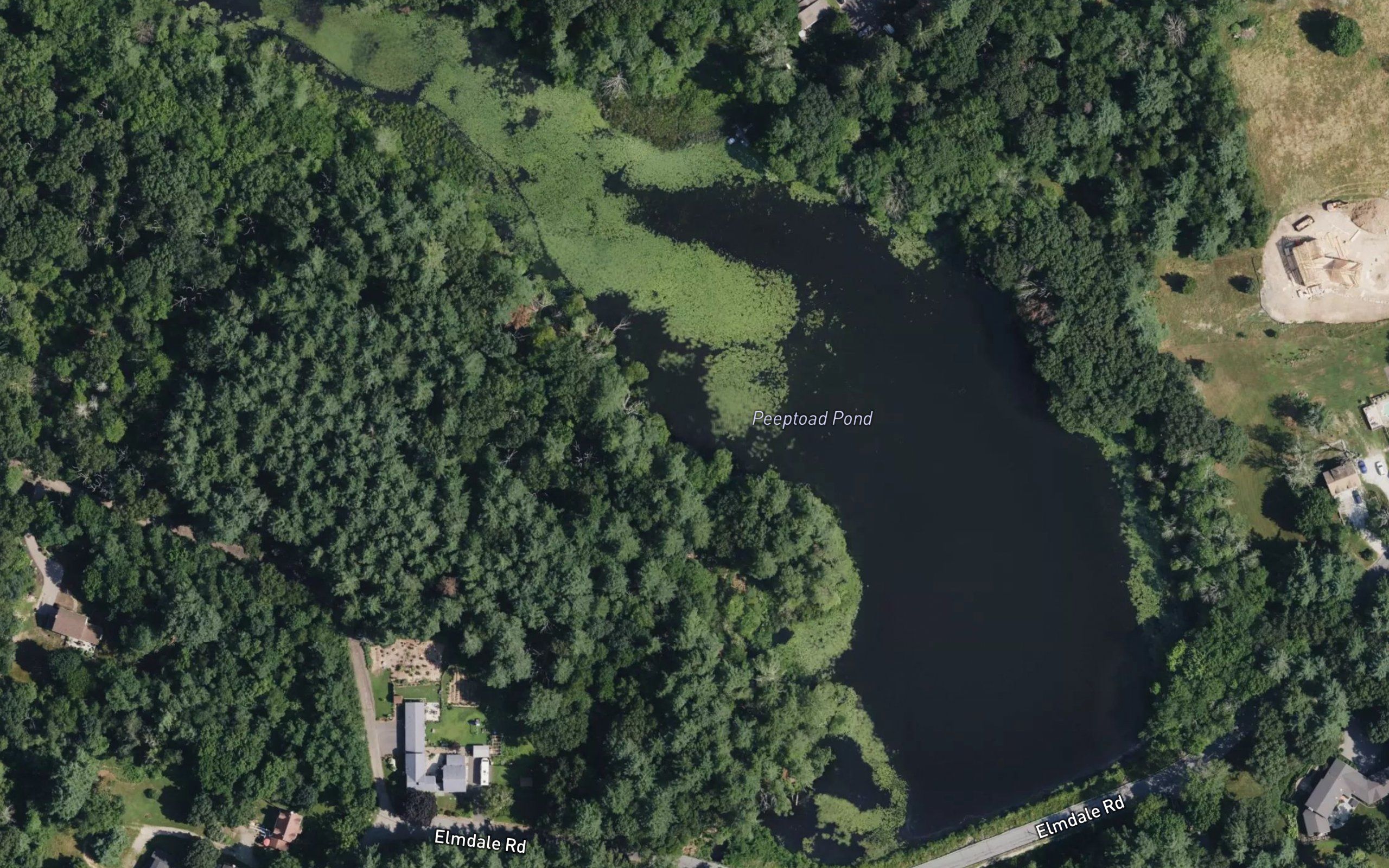 Peeptoad Pond