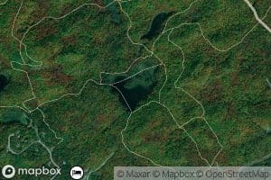 Lac Green