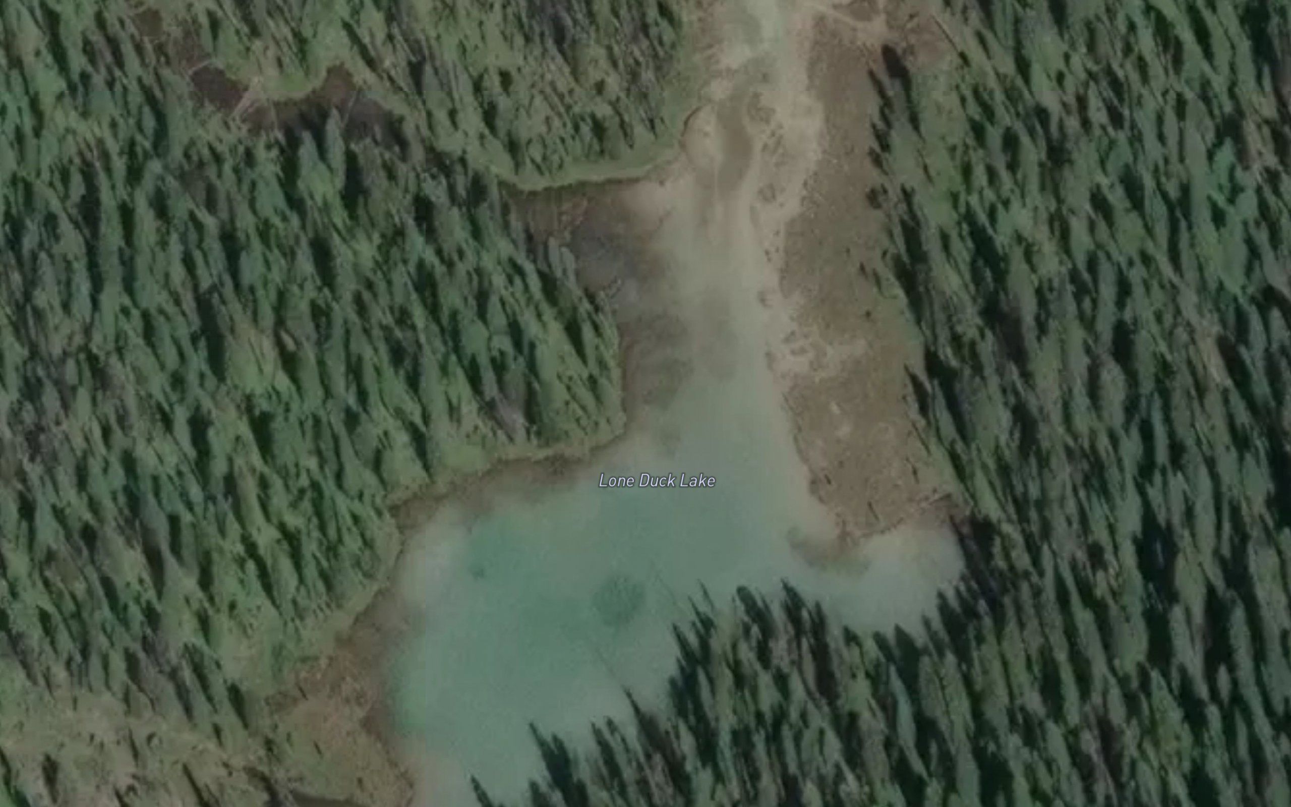 Lone Duck Lake
