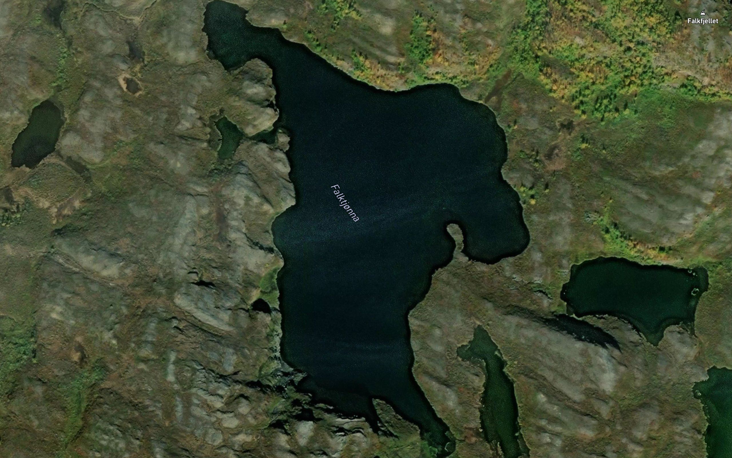 Falktjonnen