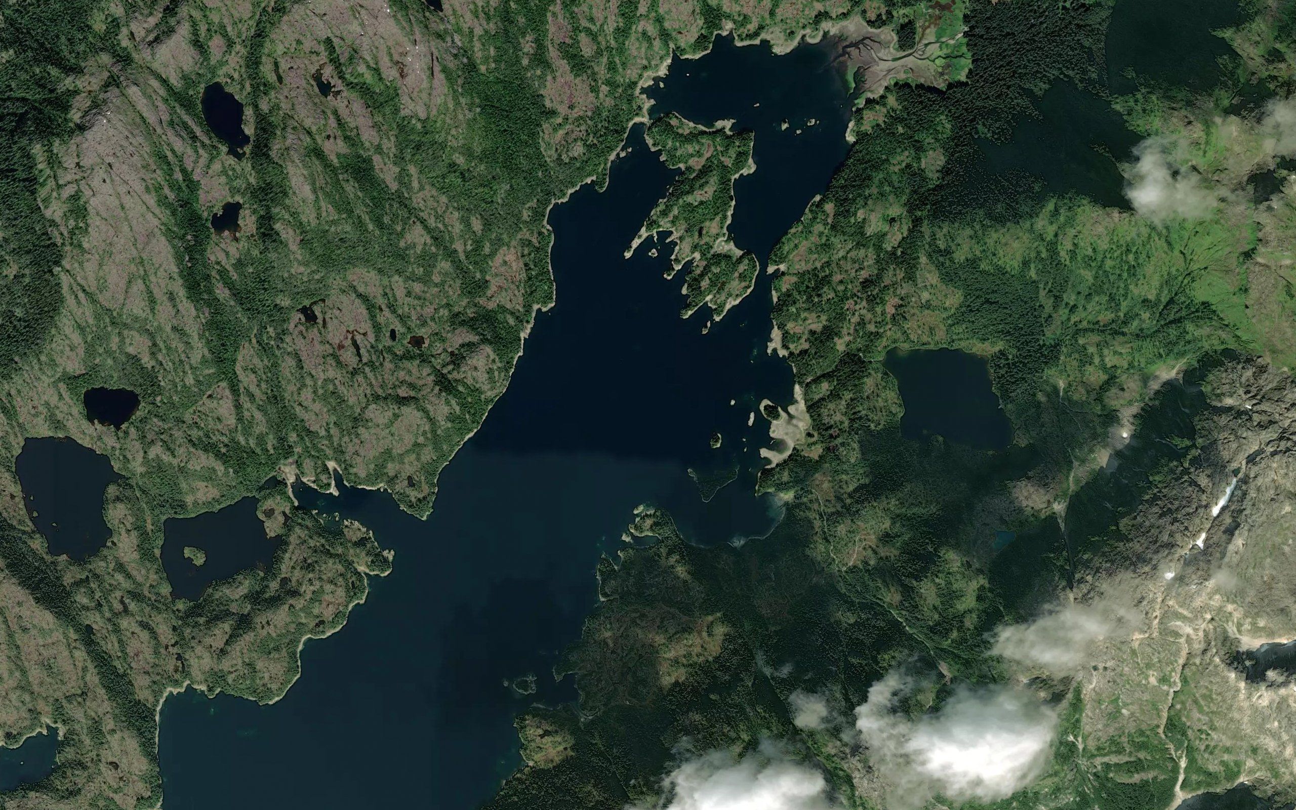 Cedar Bay