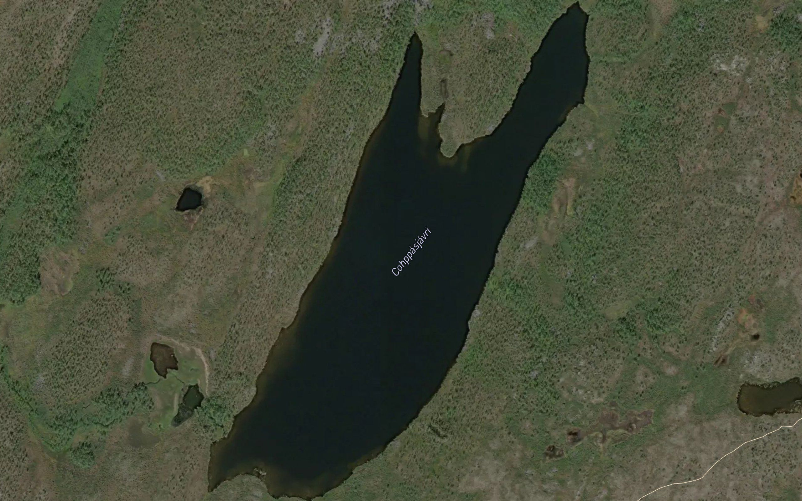 Cohppasjavri