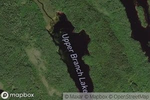 Upper Branch Lake