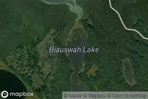 Biauswah Lake