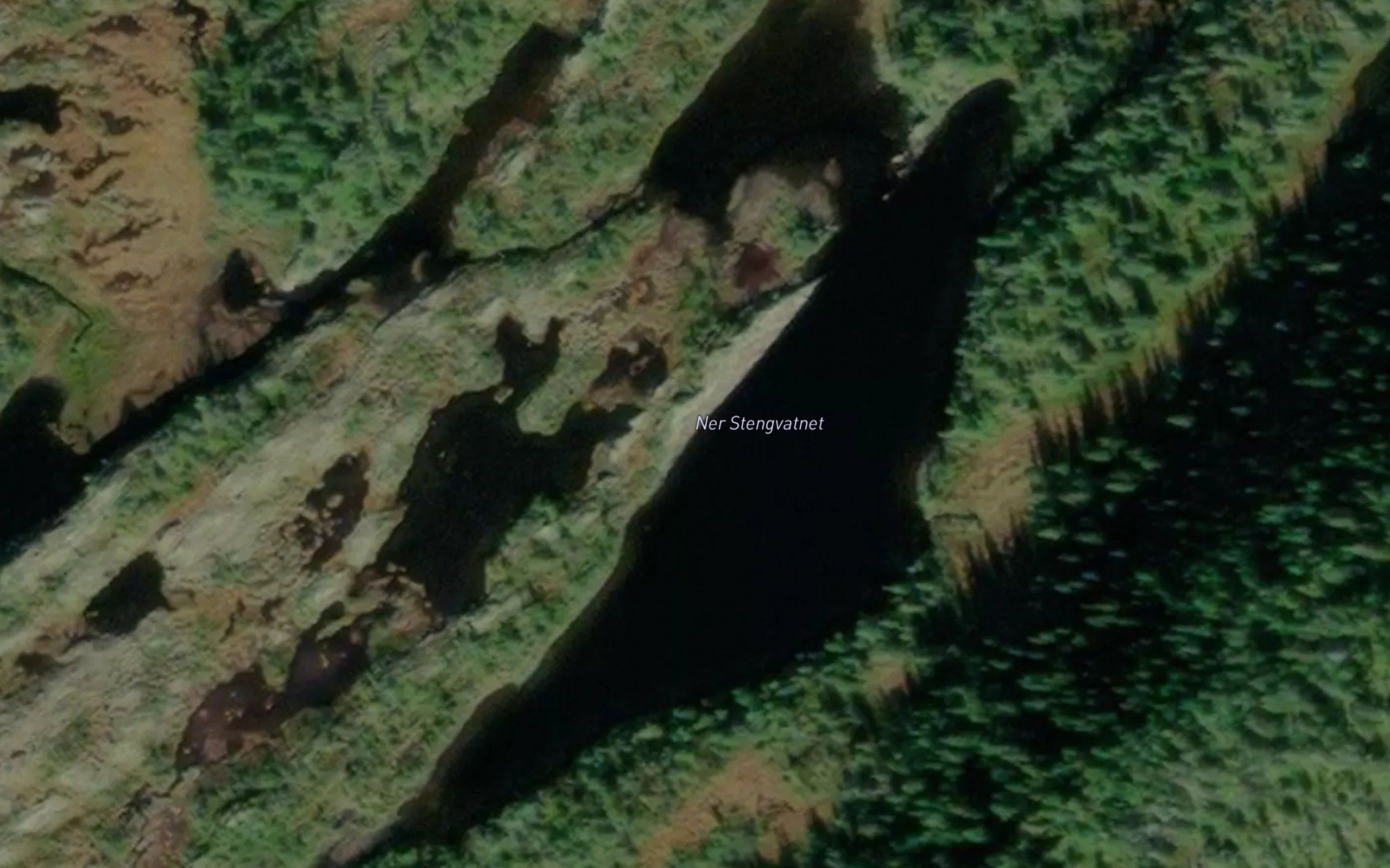 Stongvatna