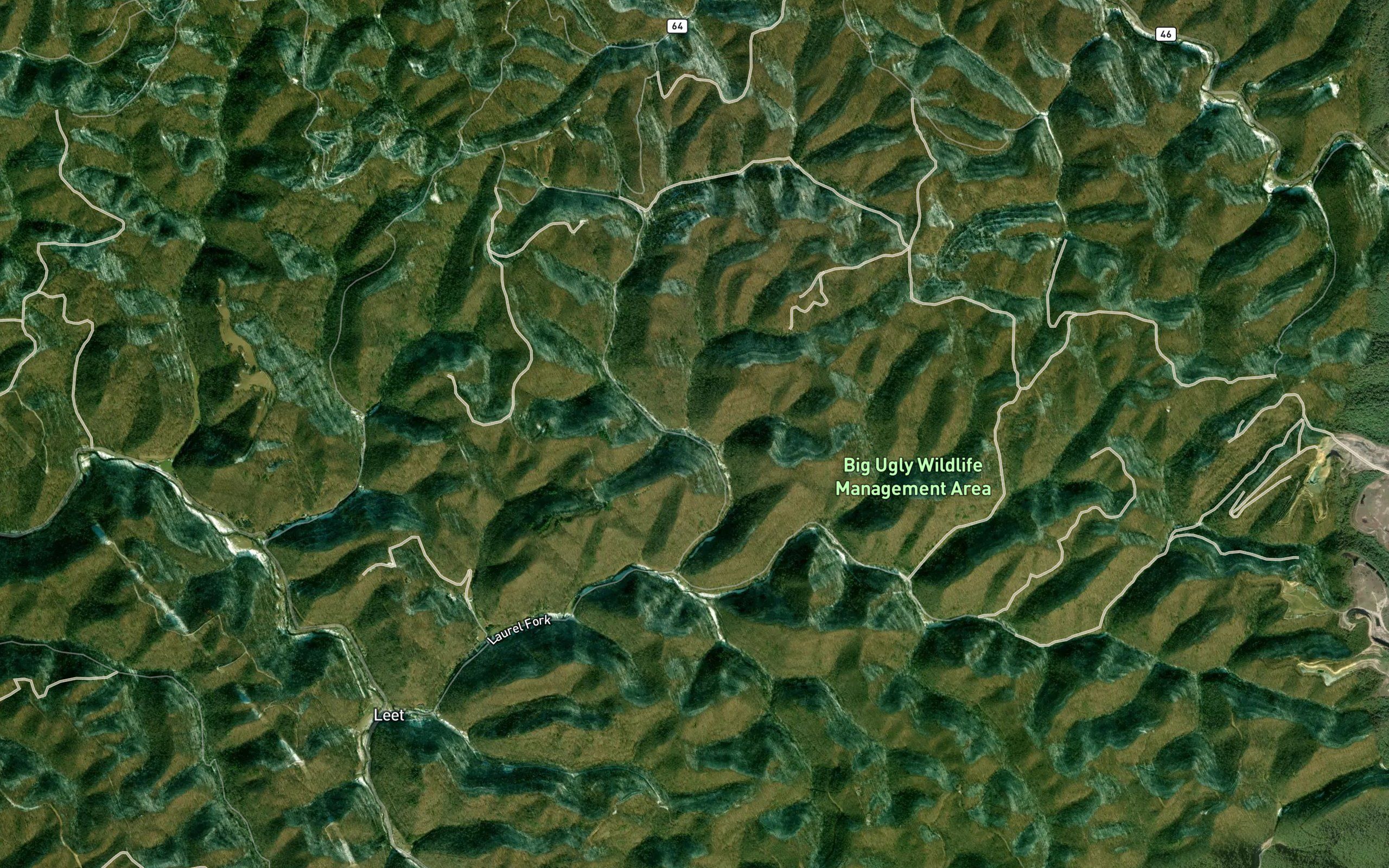 Laurelly Branch