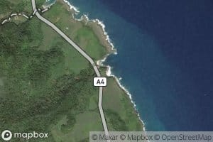 Horse Savannah River