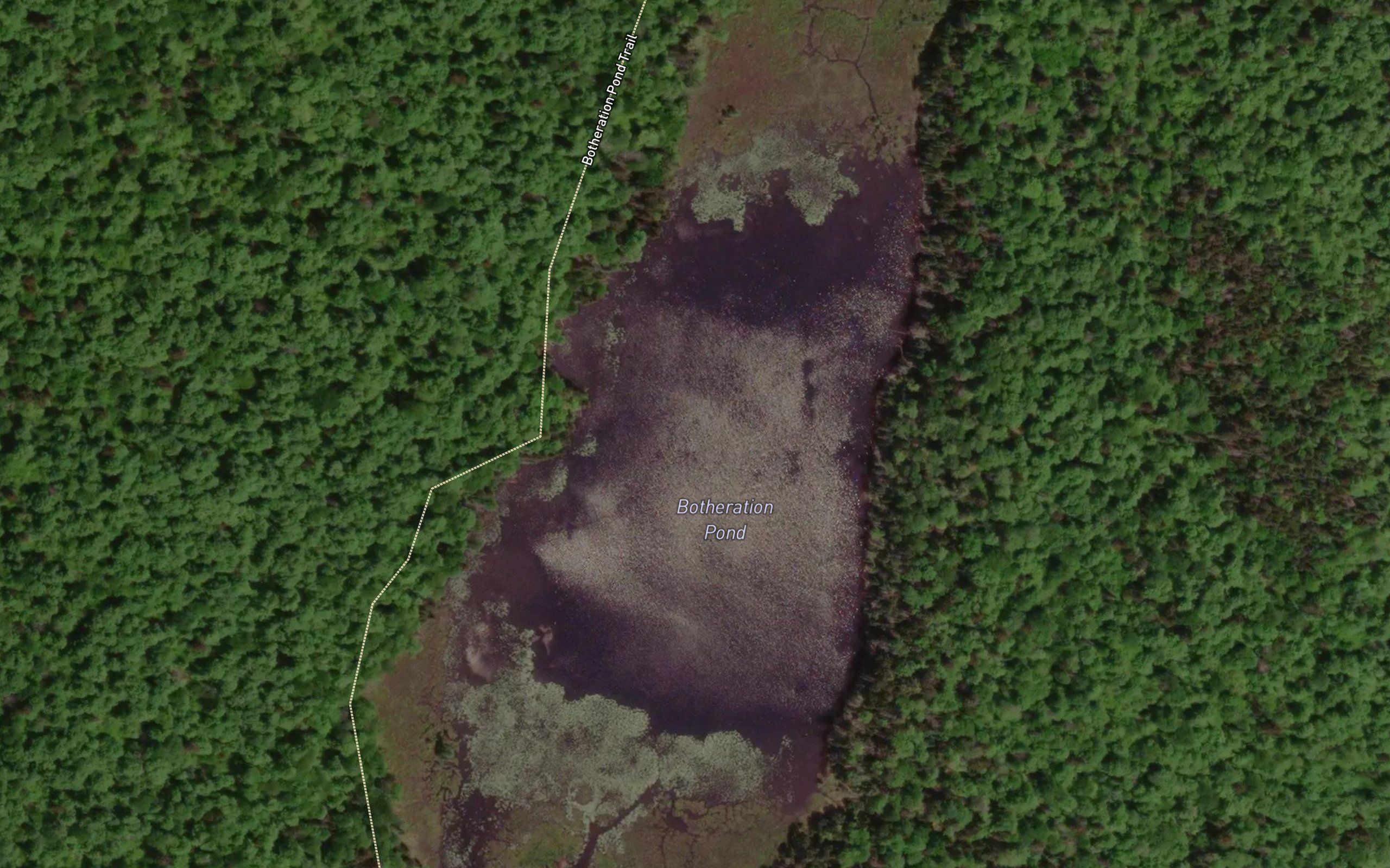Botheration Pond