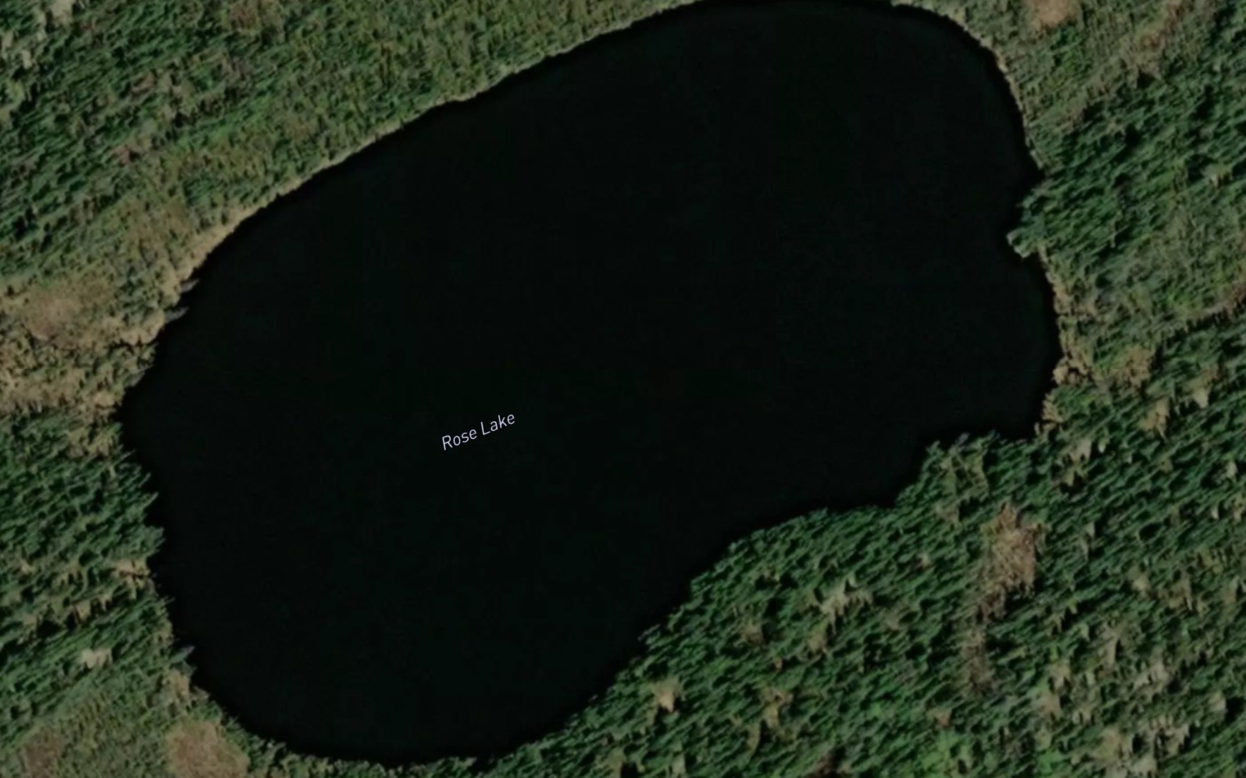 Satellite map of the Rose Lake