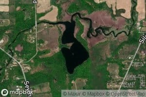 Shiawassee Lake