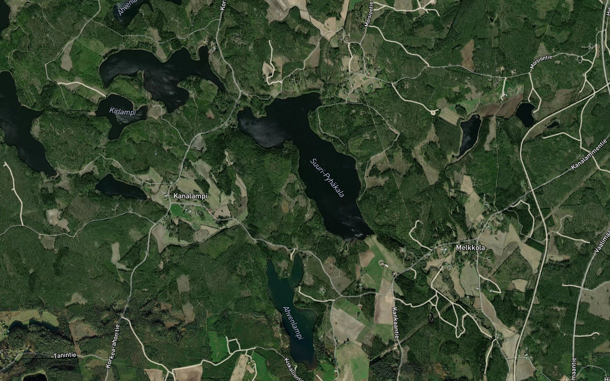 Solansuu