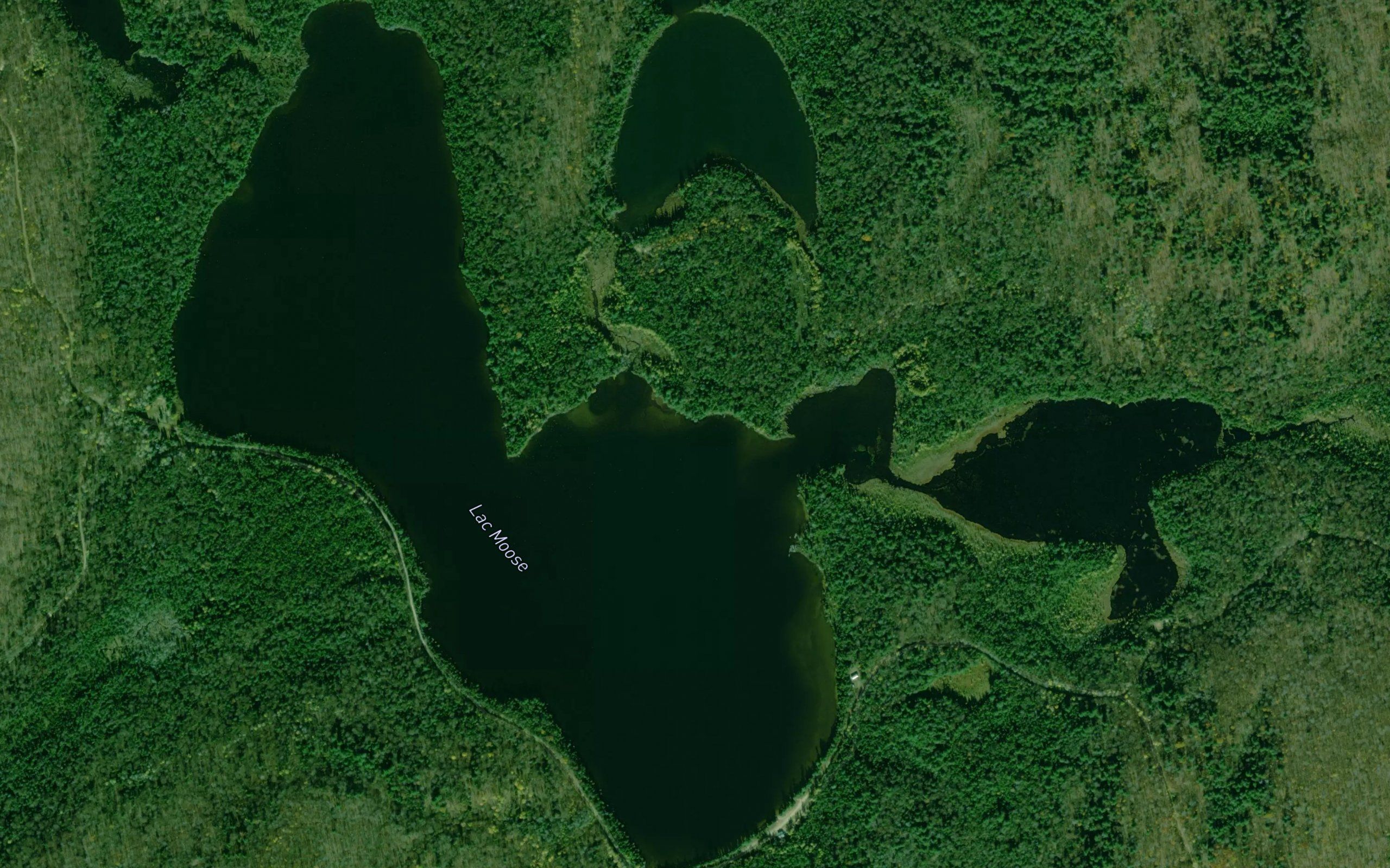 Lac Moose