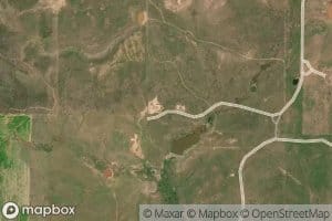 Persimmon Springs