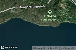 Langhammarvika