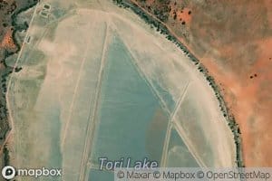 Tori Lake