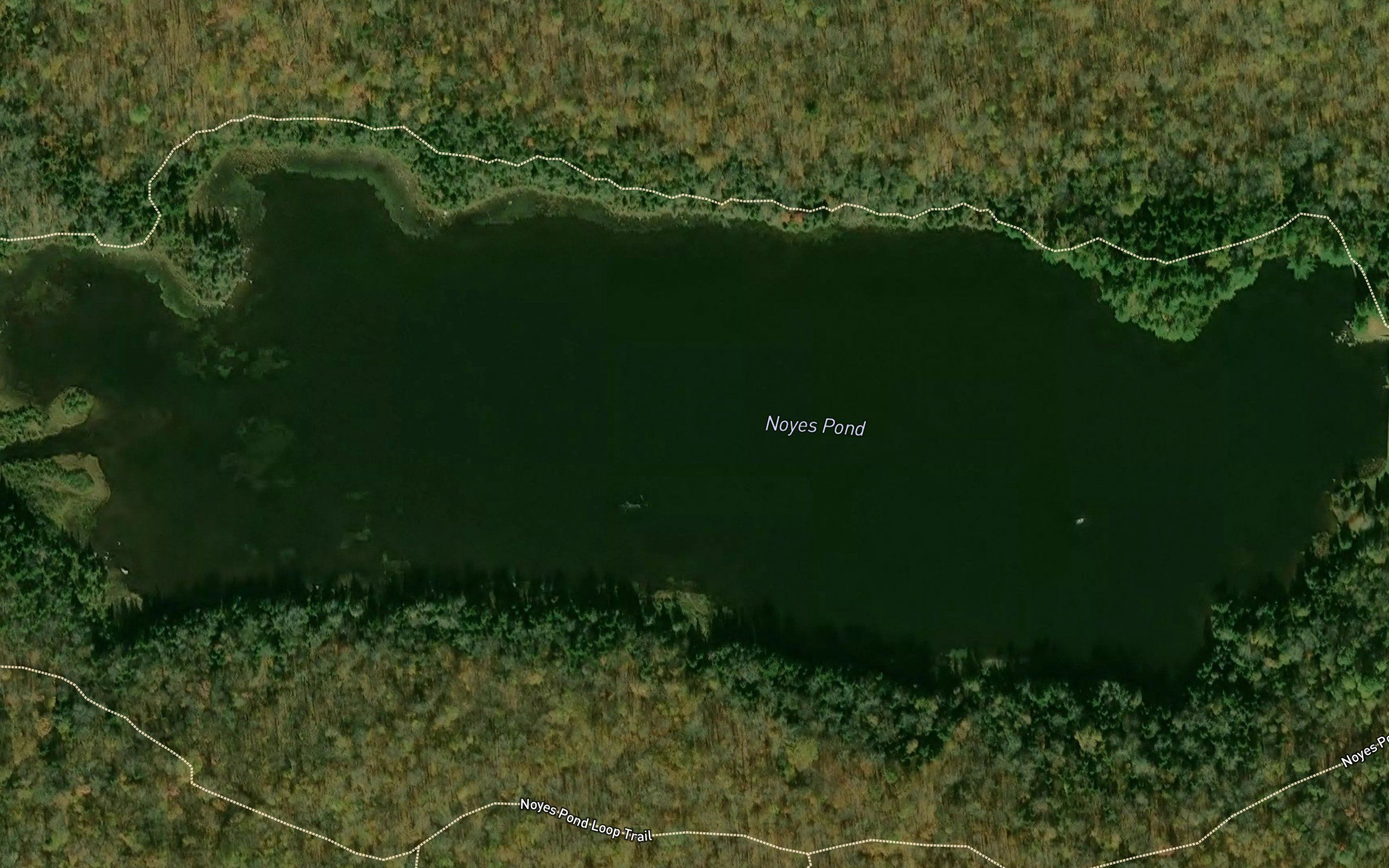 Noyes Pond