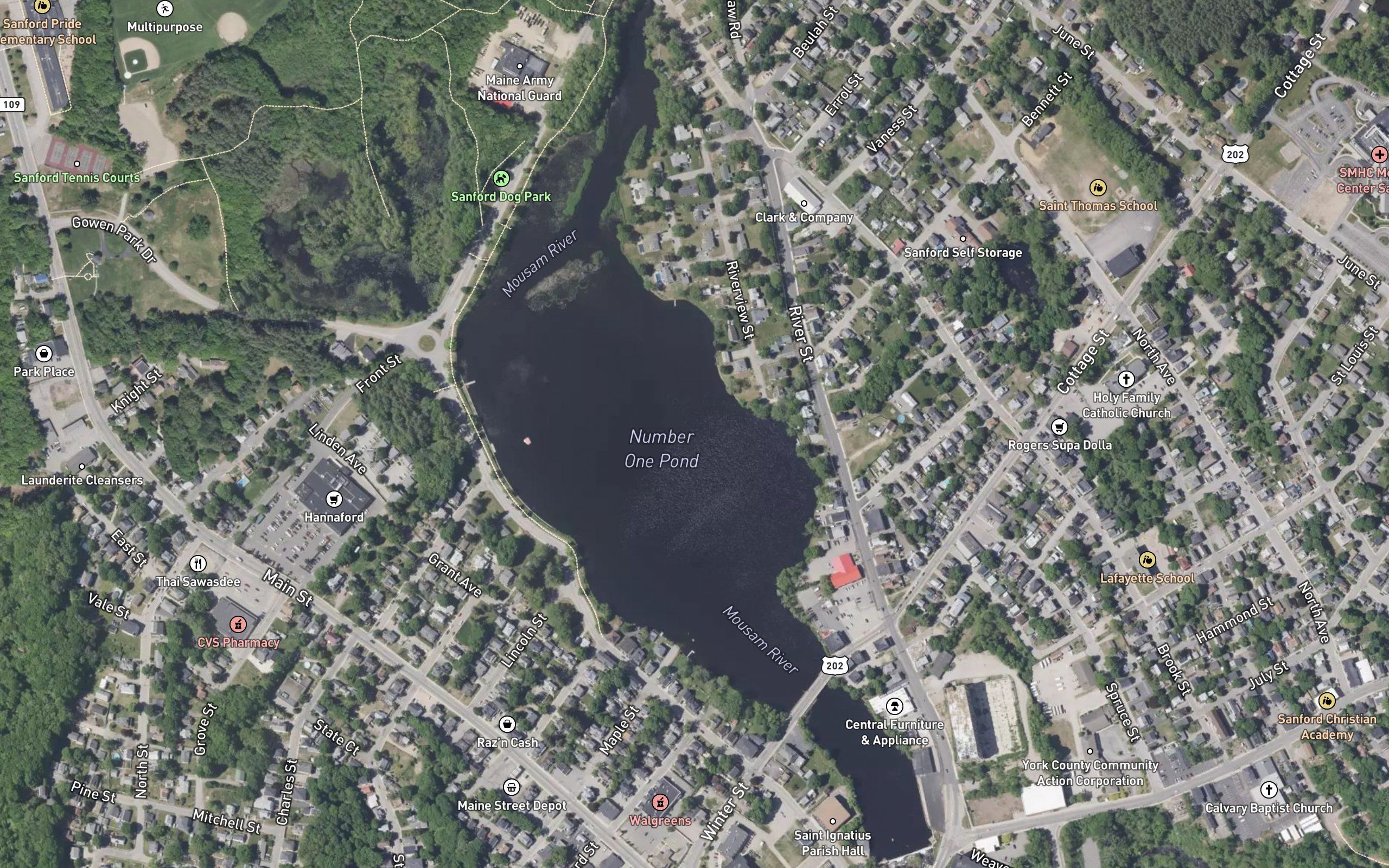 Number 1 Pond