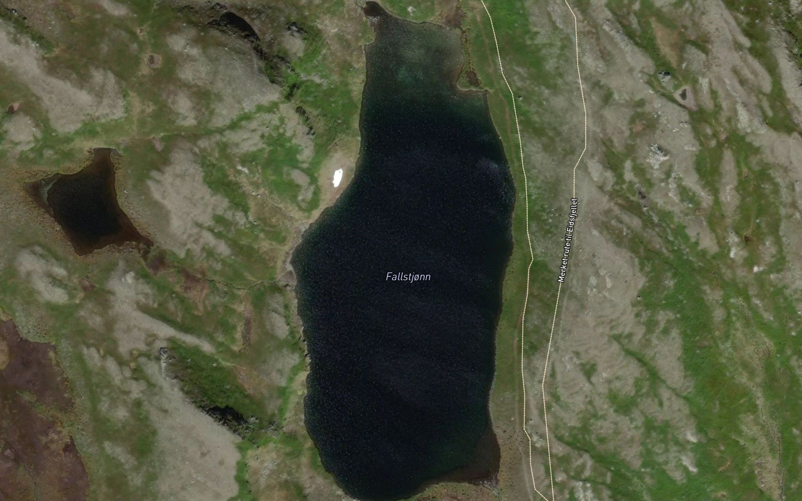 Fallstjorn