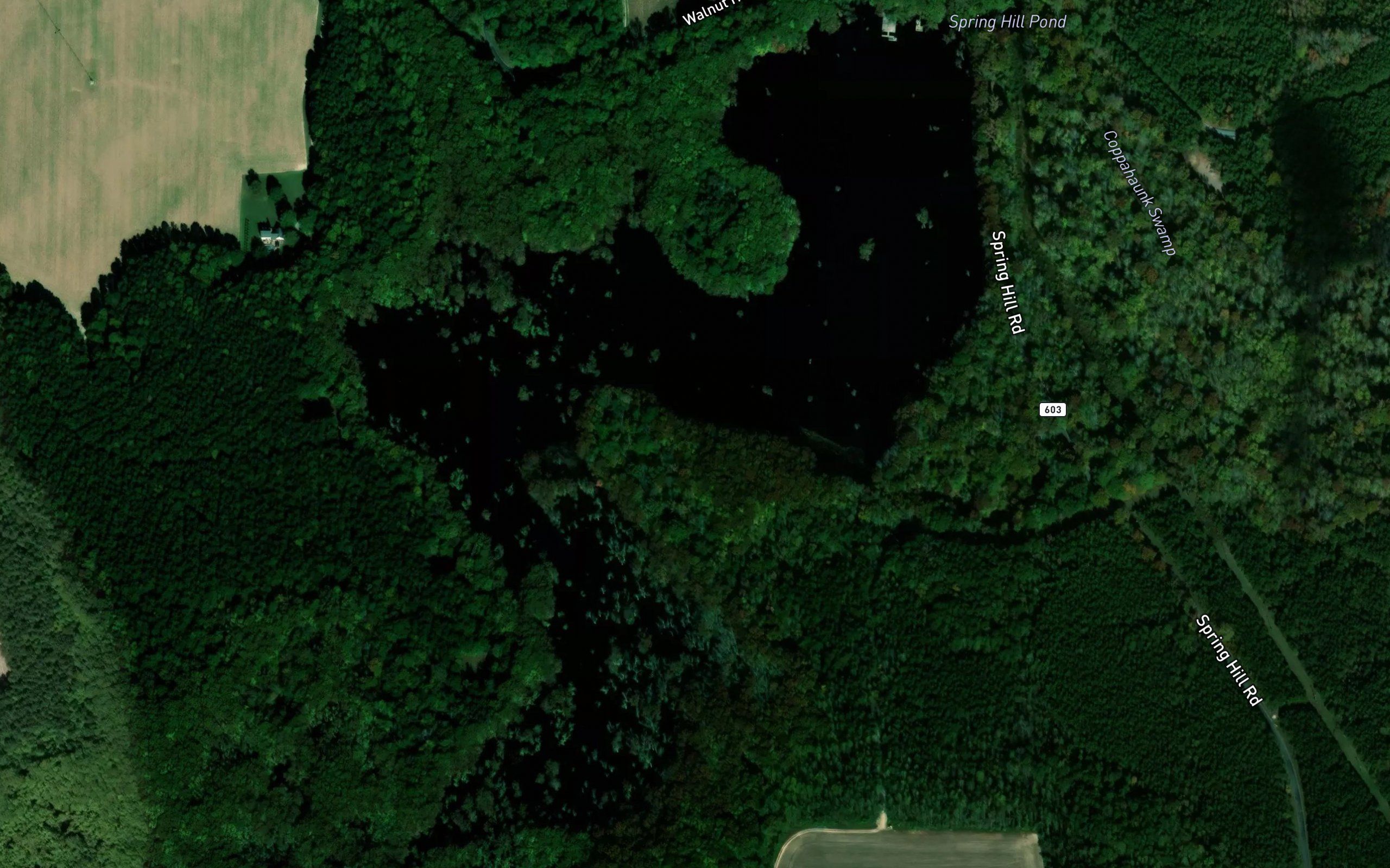 Spring Hill Pond