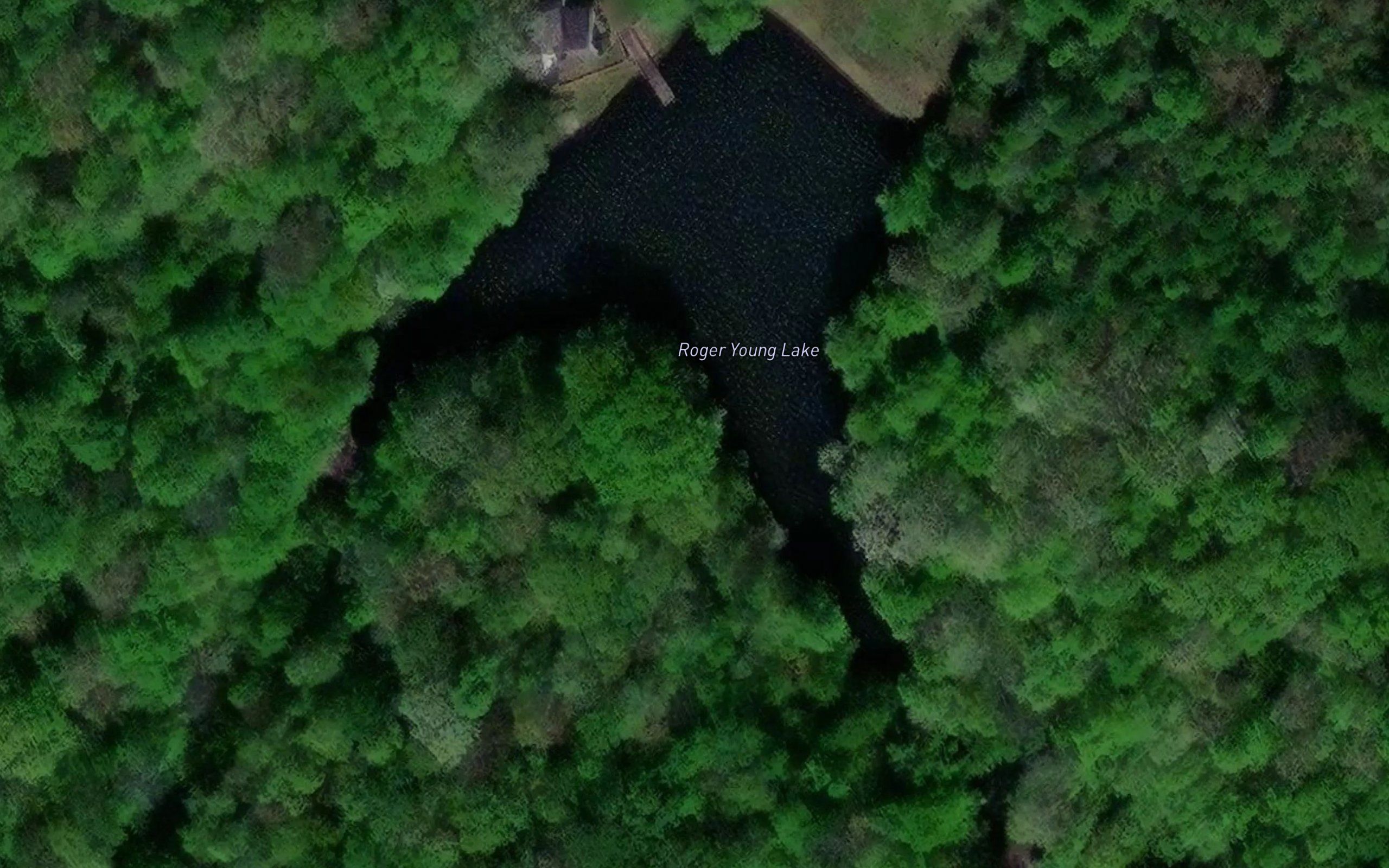 Roger Young Lake