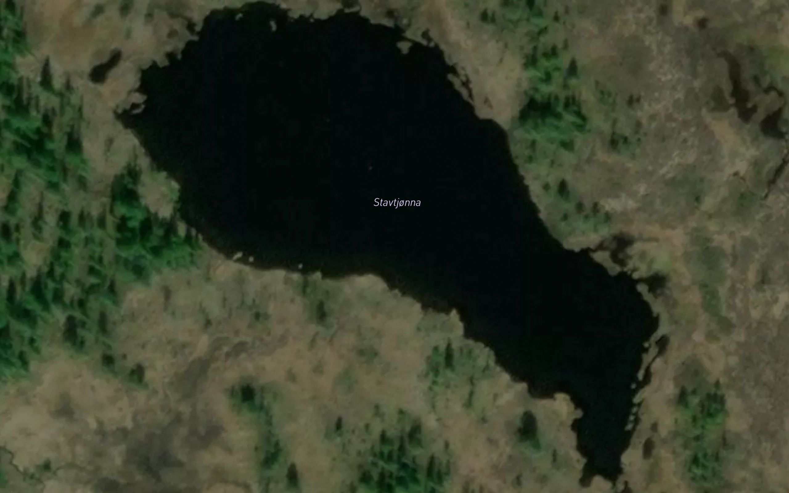 Stavtjorna