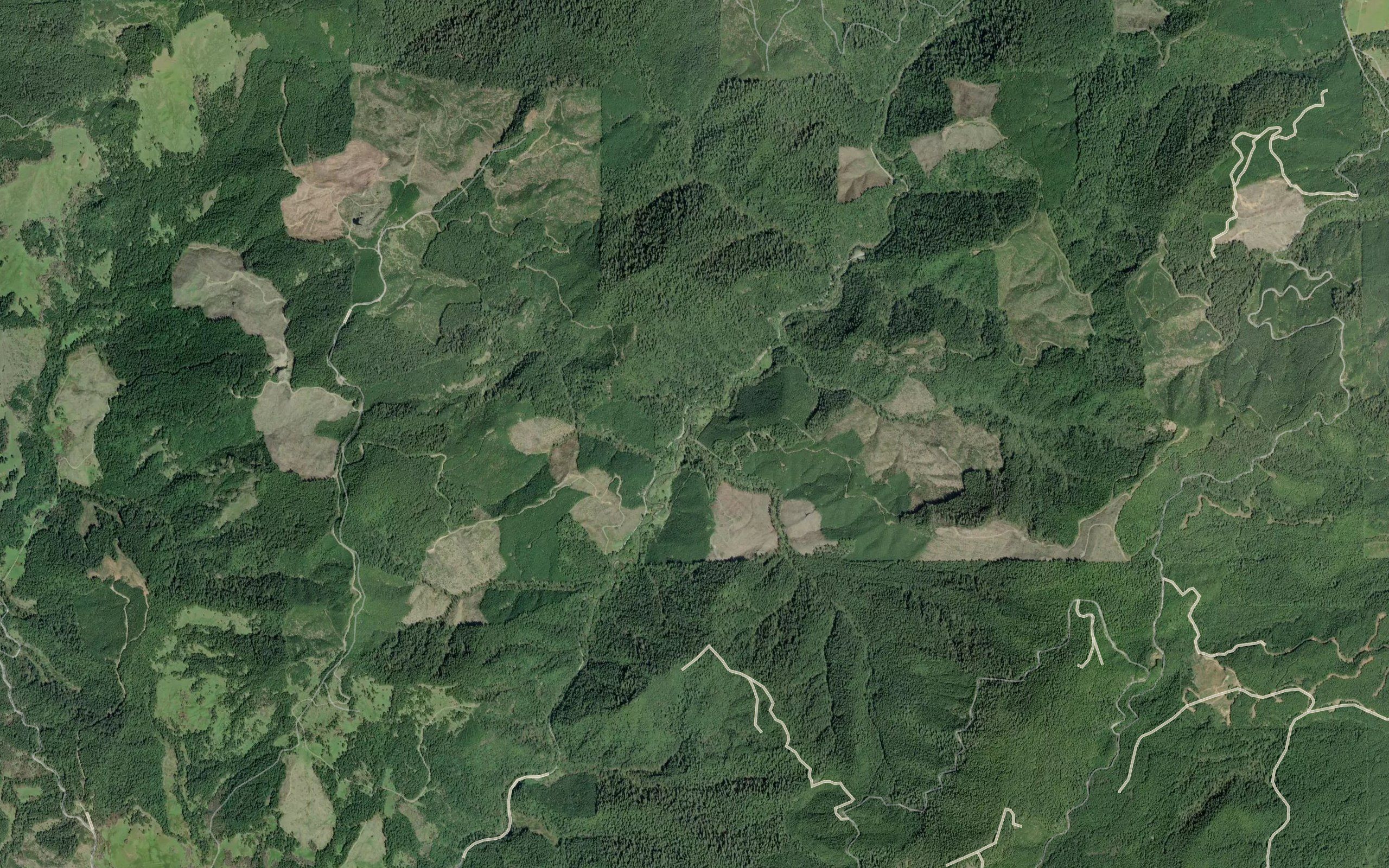 Pyburn Creek