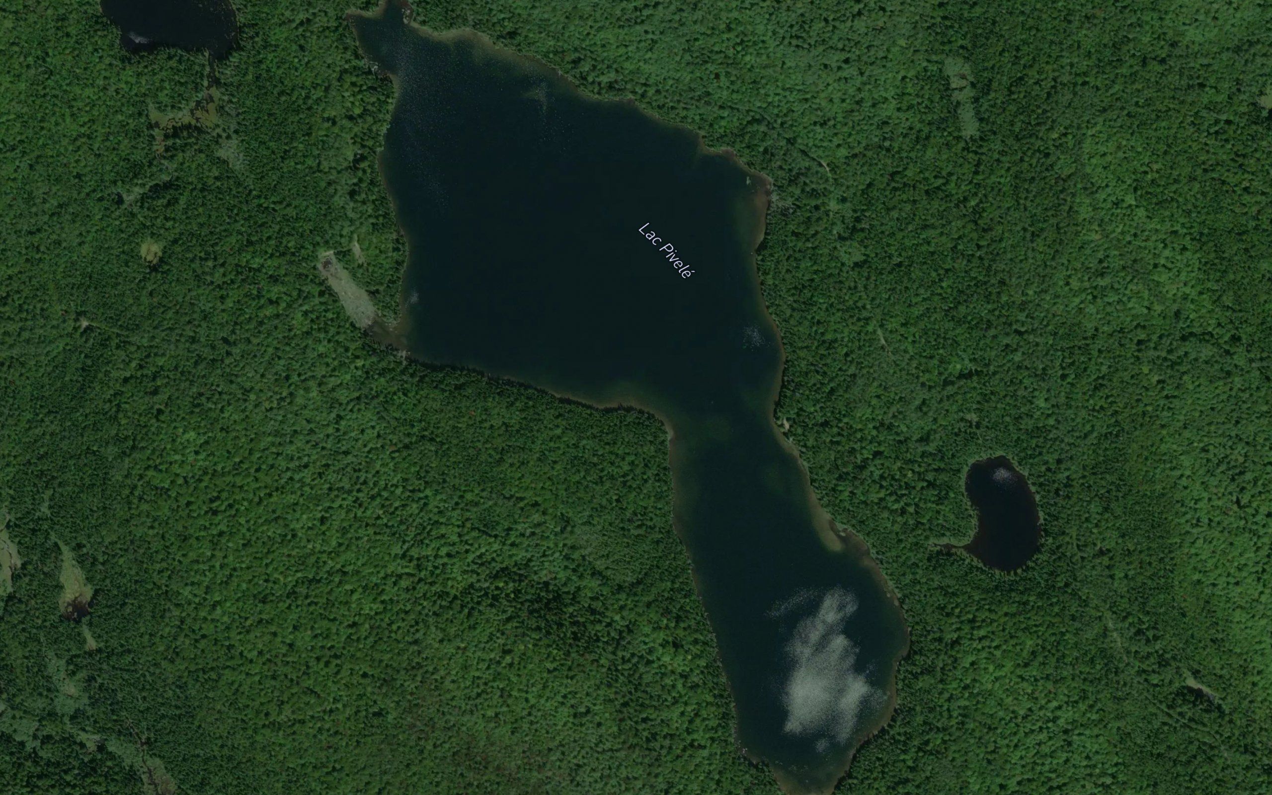 Lac Pivele