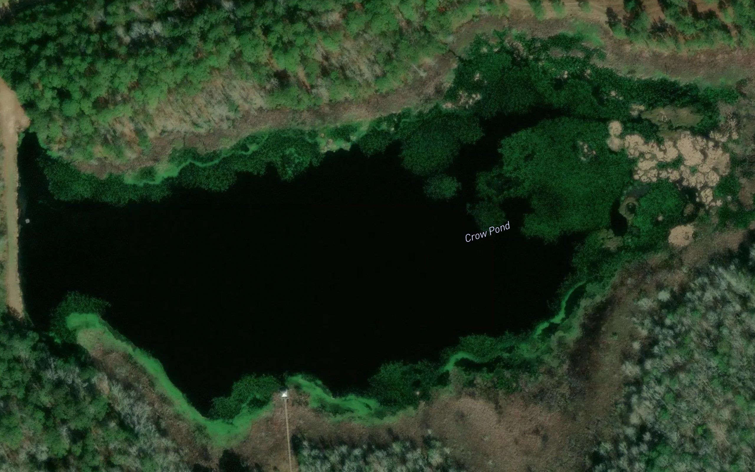 Crow Pond