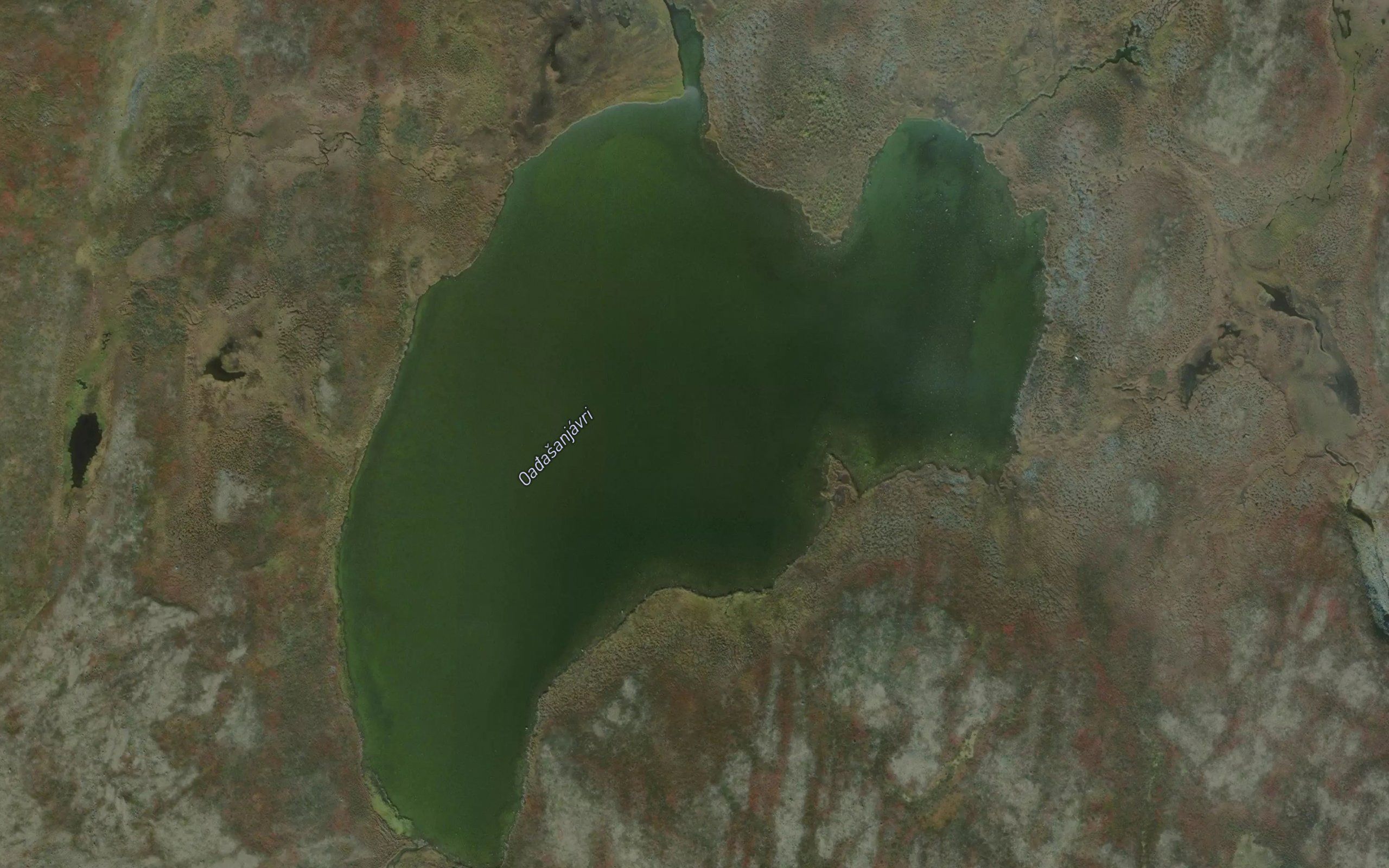 Oalasanjavri