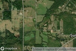 Coon Creek