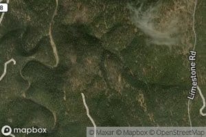 Section Thirty-three Spring