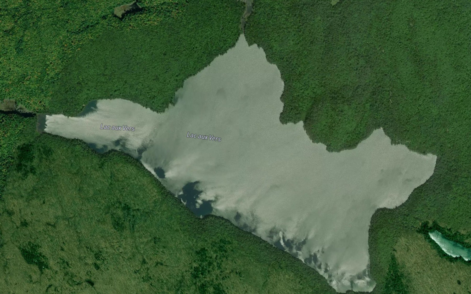 Satellite map of the Lac aux Vers