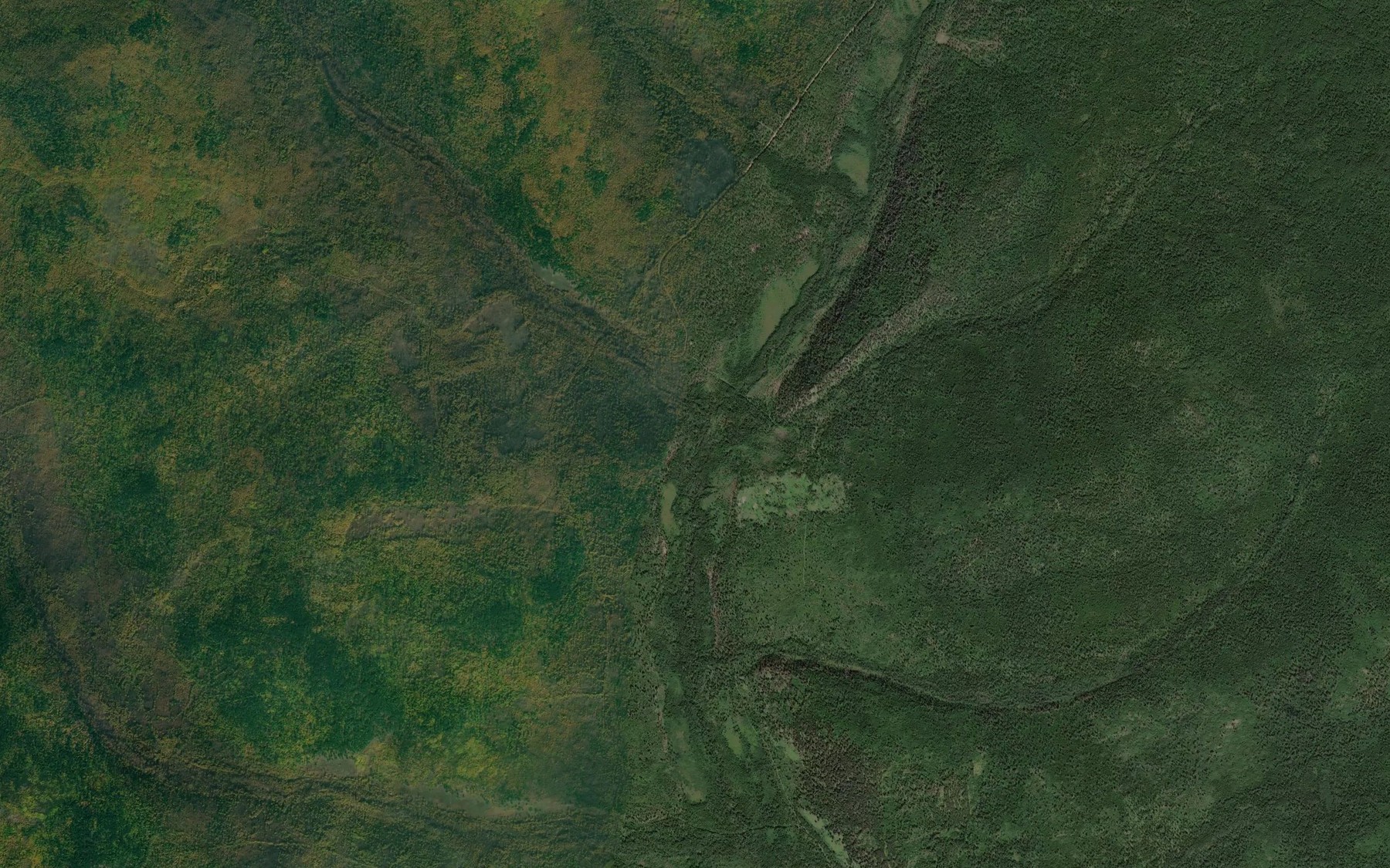 Satellite map of the Dal'niy
