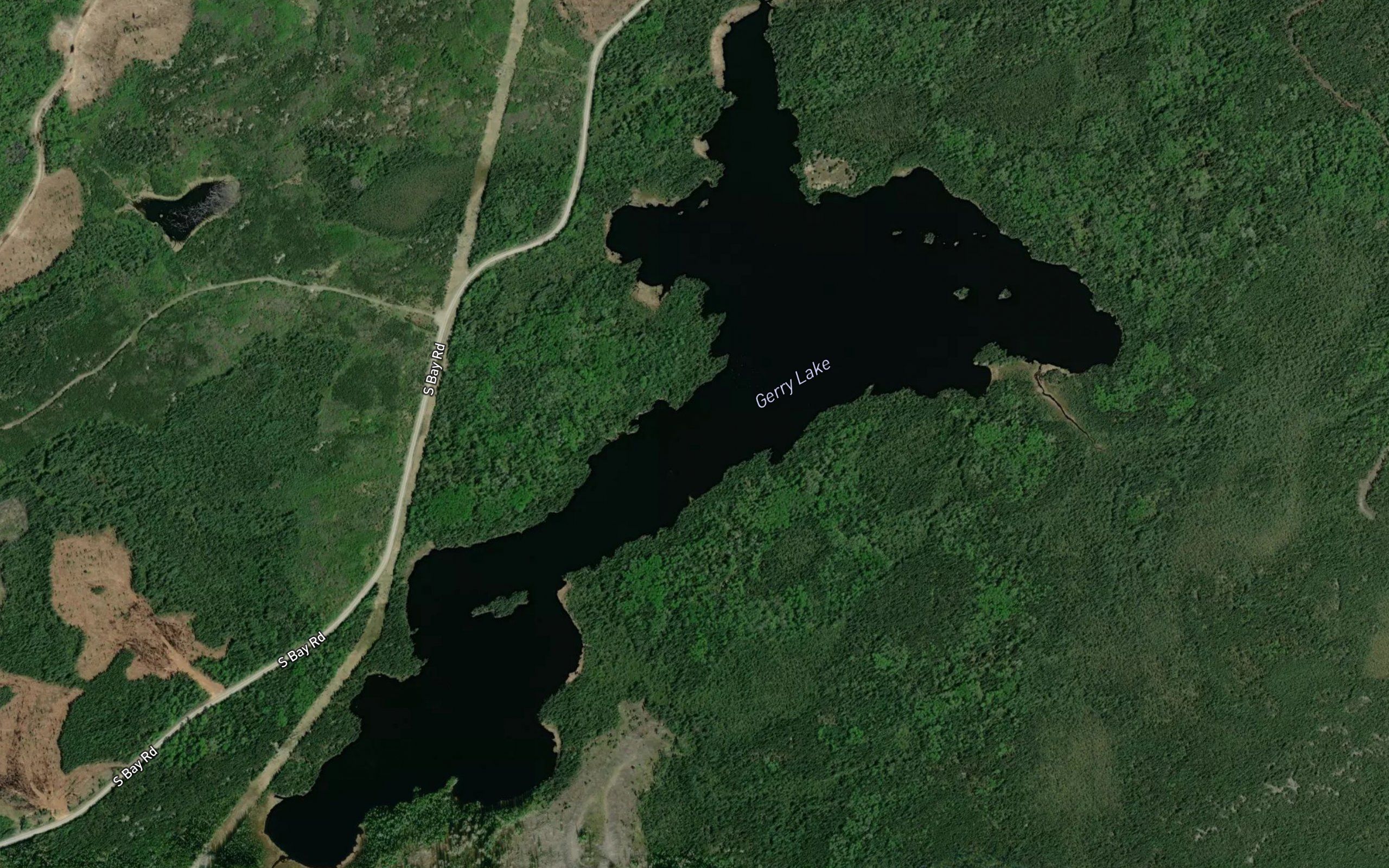 Gerry Lake