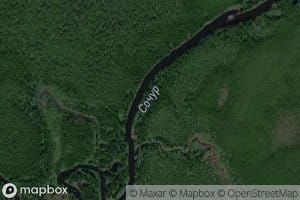 Bolotnaya
