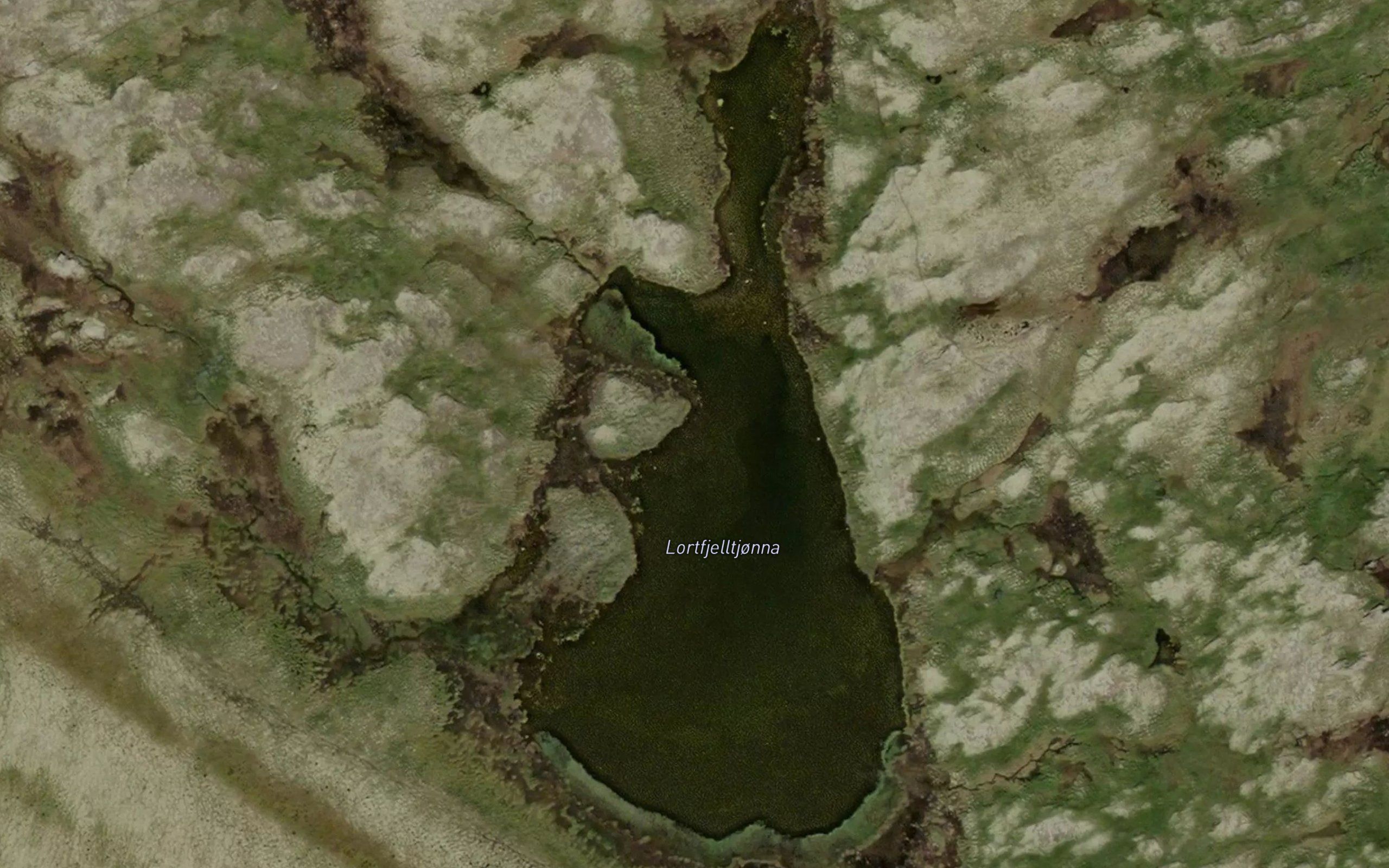Lortfjelltjonna