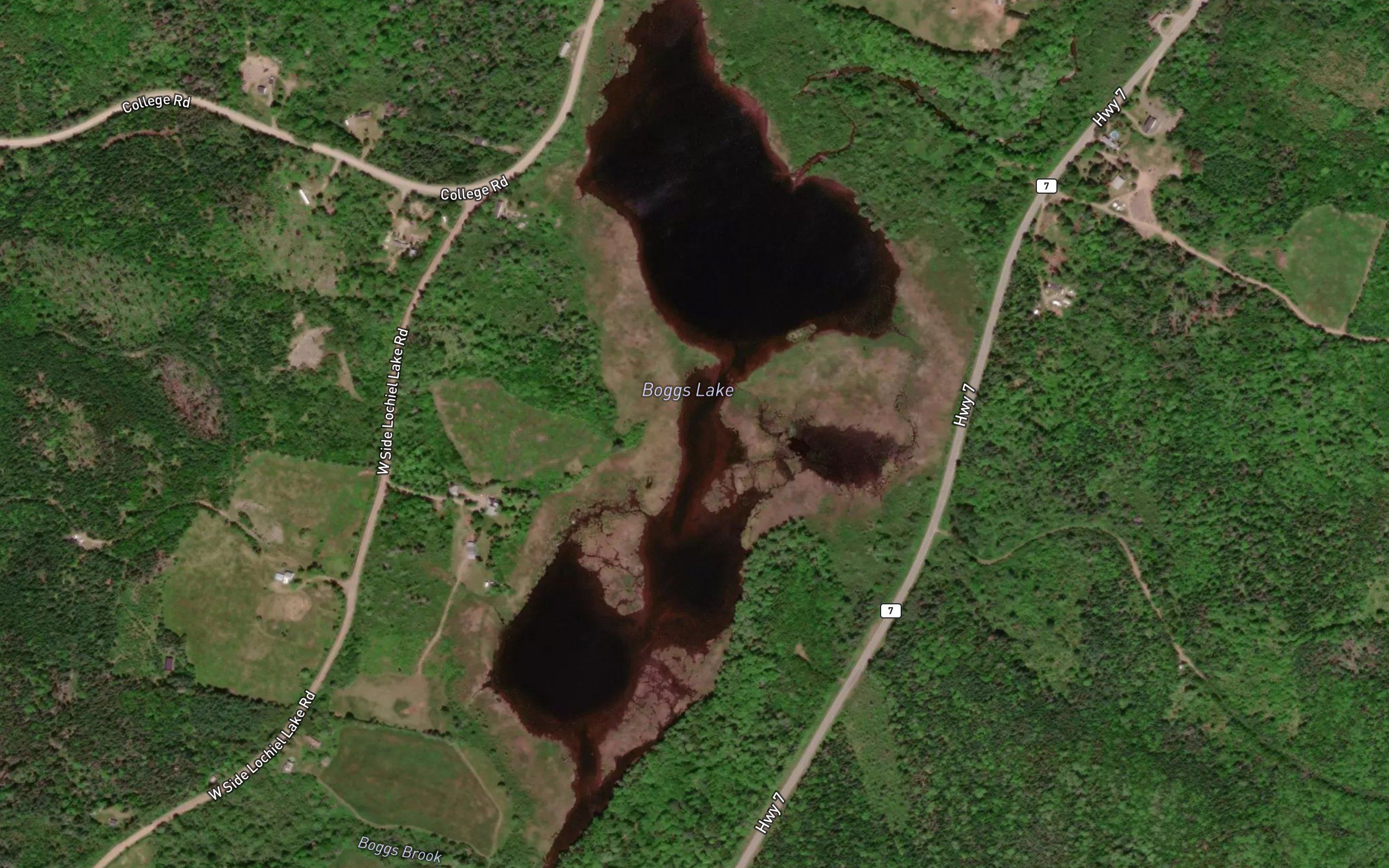Boggs Lake