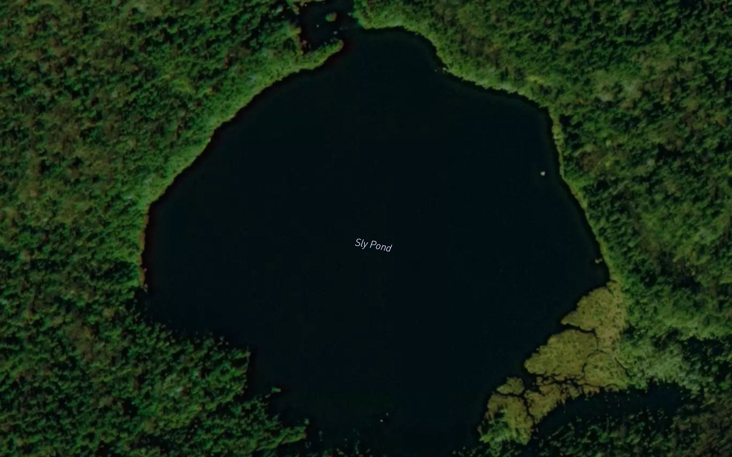 Sly Pond